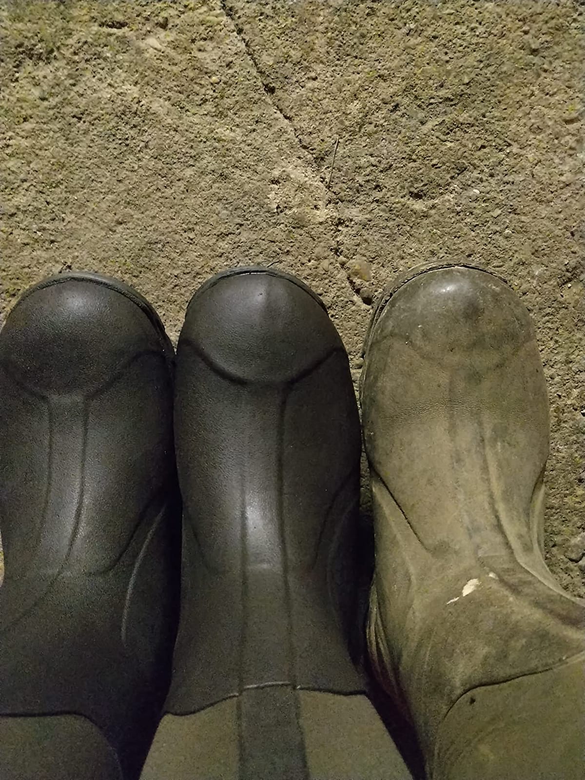 MUCK Men's Arctic Pro Insulated Boot customer photo 2