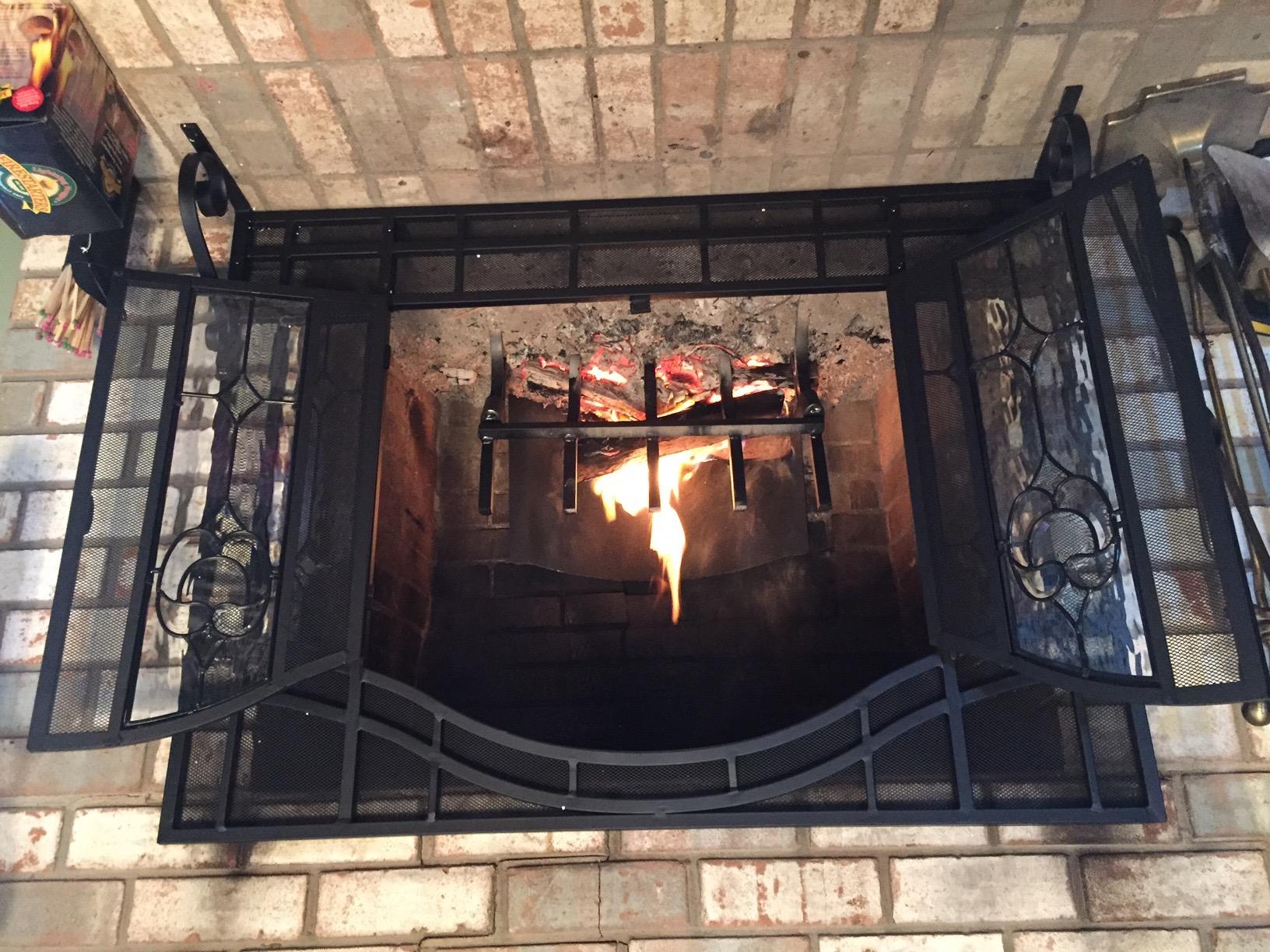 Plow & Hearth Metal Fireplace Screen Glass Floral Black | 38