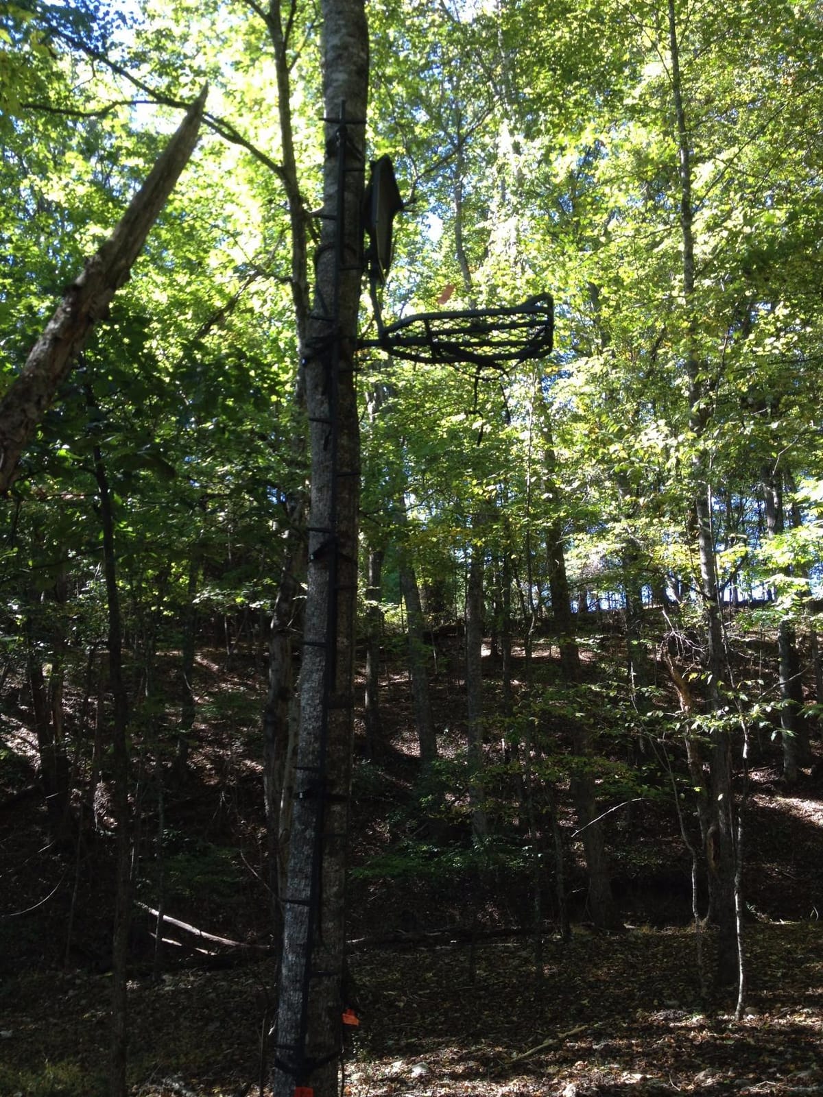 Millennium Treestands Monster Hang-on Treestand customer photo 1