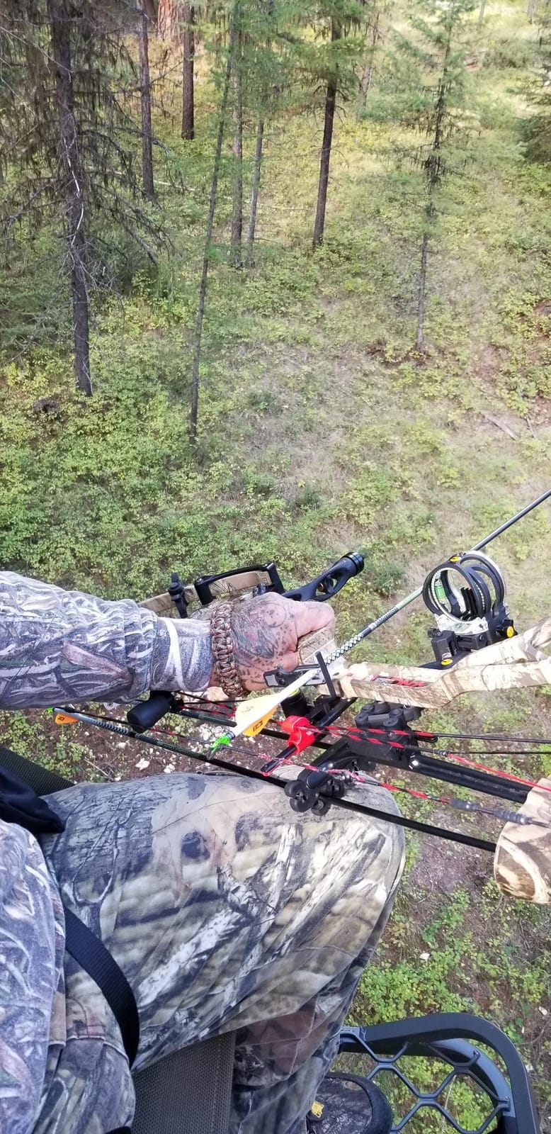 Millennium Treestands Monster Hang-on Treestand customer photo 2