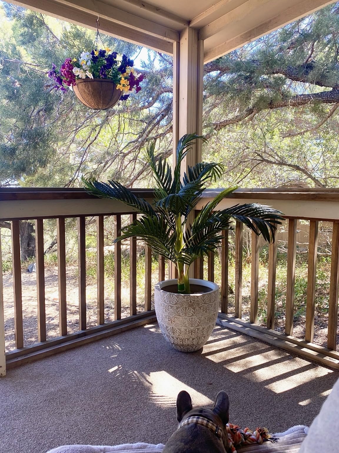 Nearly Natural 4ft Golden Cane Palm, Double Stalk Artificial Tree With Lush Realistic Foliage Maintenance Free Indoor Faux Palm Plant For Living Room, Easy Setup, Perfect Tropical Decoration customer photo 2