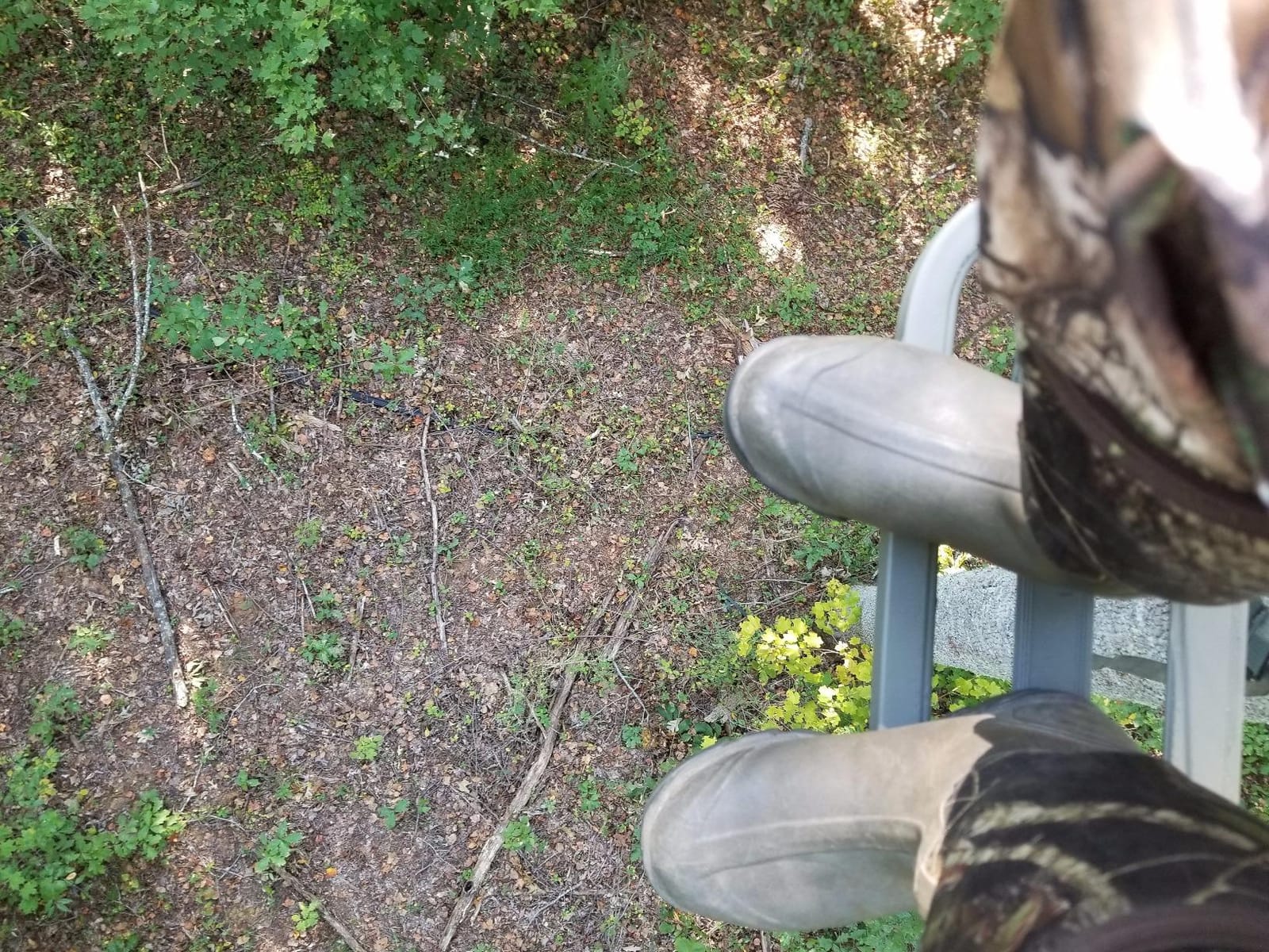 Summit Treestands Mini Viper SD Climbing Treestand, Mossy Oak customer photo 1