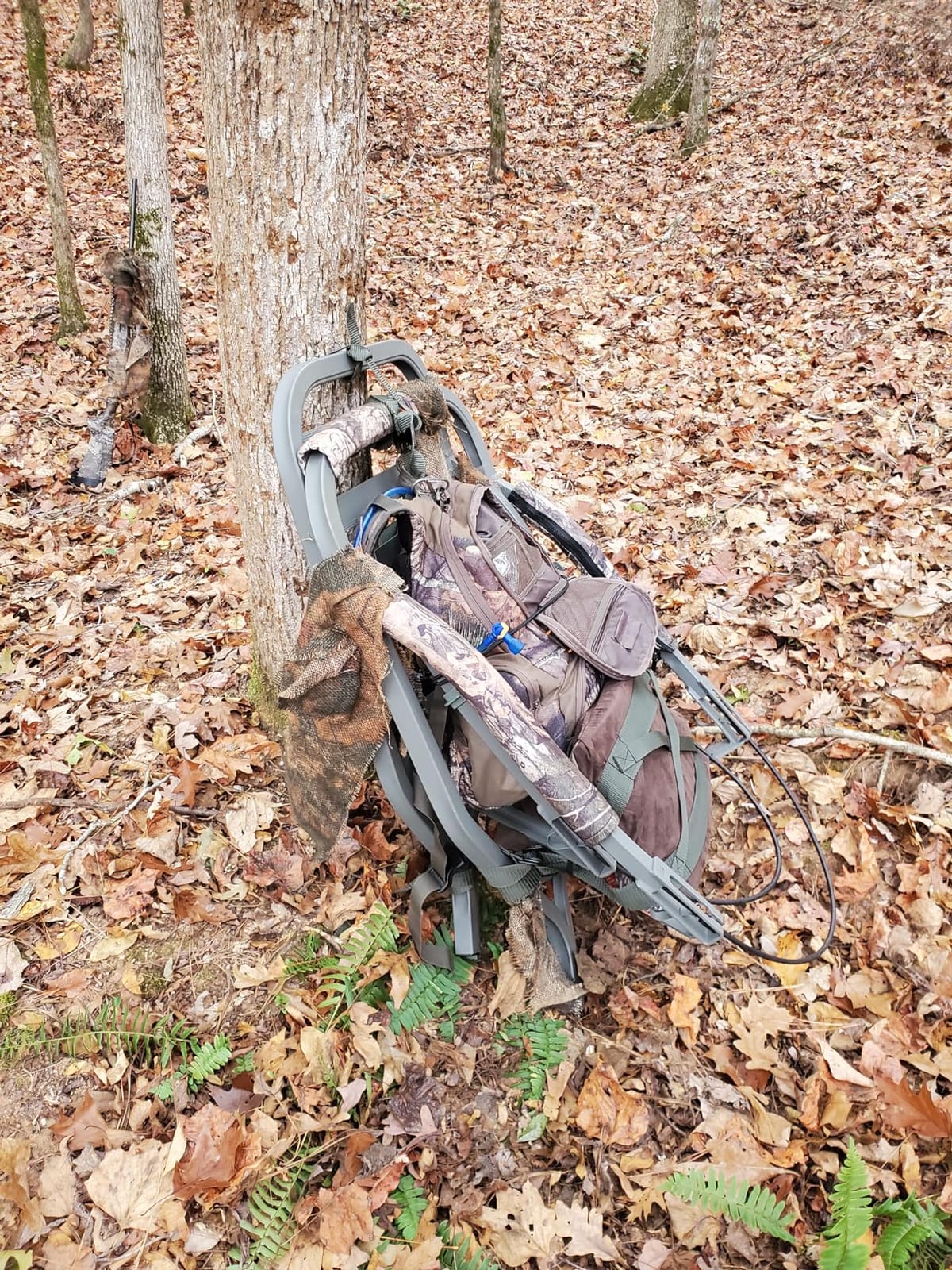 Summit Treestands Titan SD Climbing Treestand customer photo 1