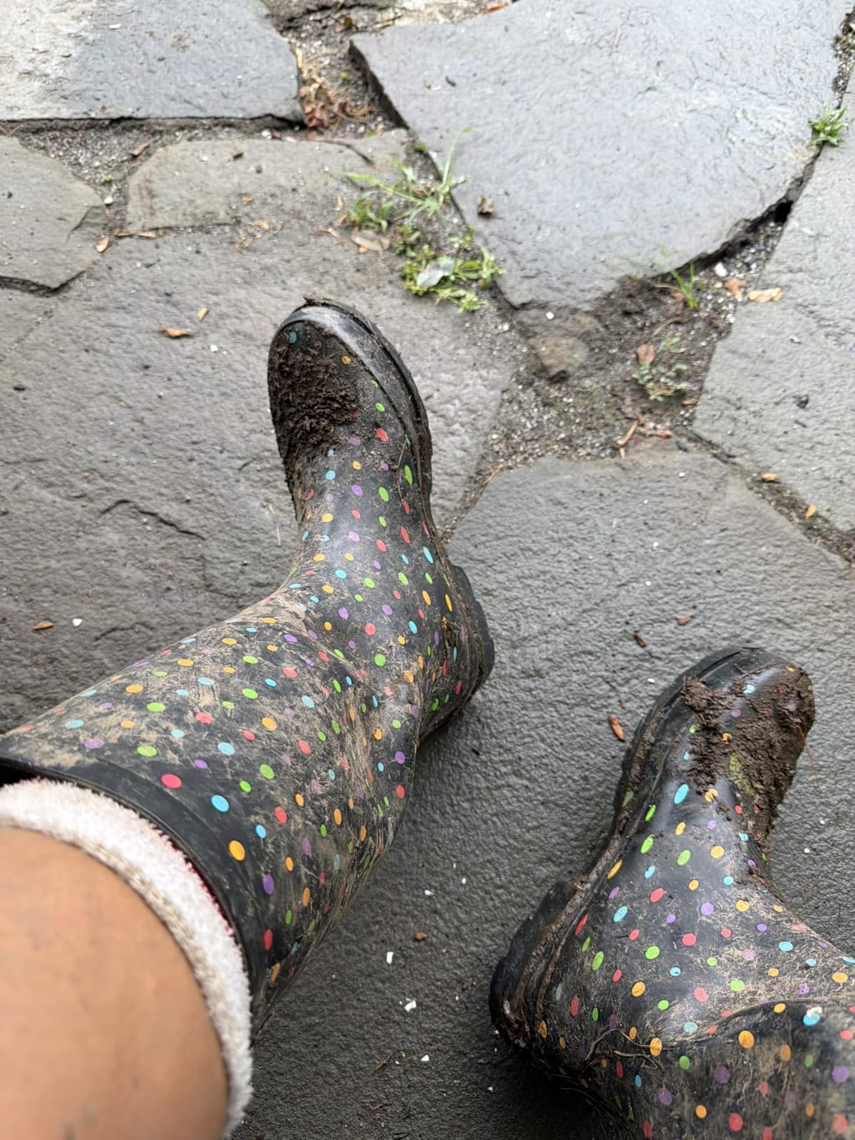 Western Chief Women's Tall Waterproof Rain Boot Outdoor Garden Shoes customer photo 1