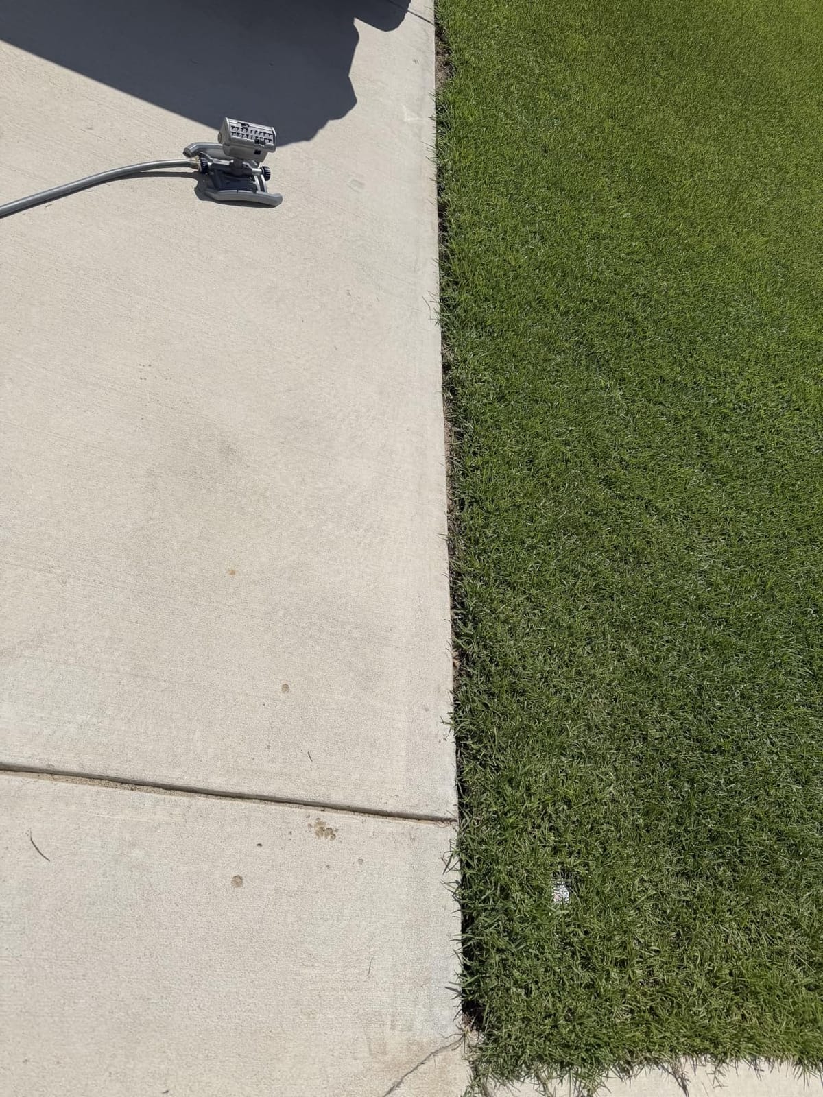 WORX Electric Lawn Edger, 12 Amp 7.5