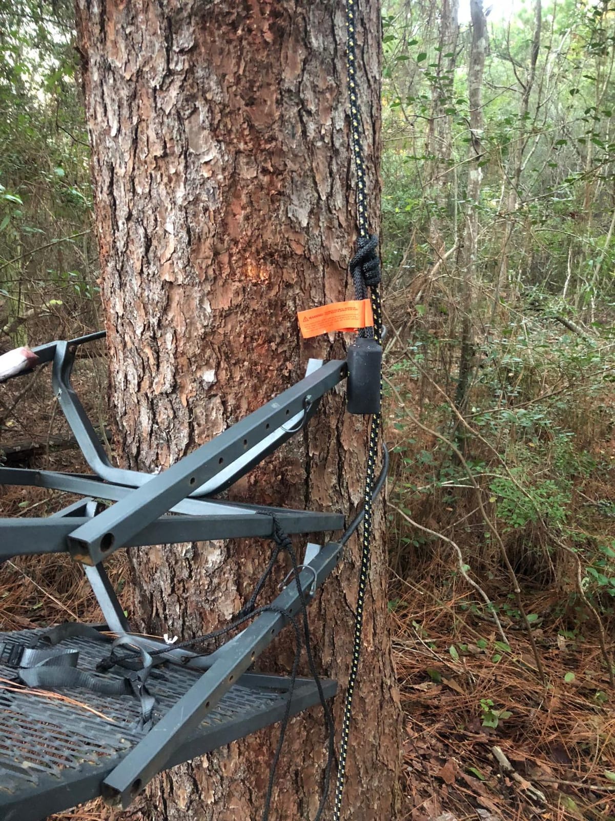 Hunter Safety System Lifeline - Treestand Safety Rope System with Ground-to-Stand Fall Protection & Silent Climbing customer photo 1