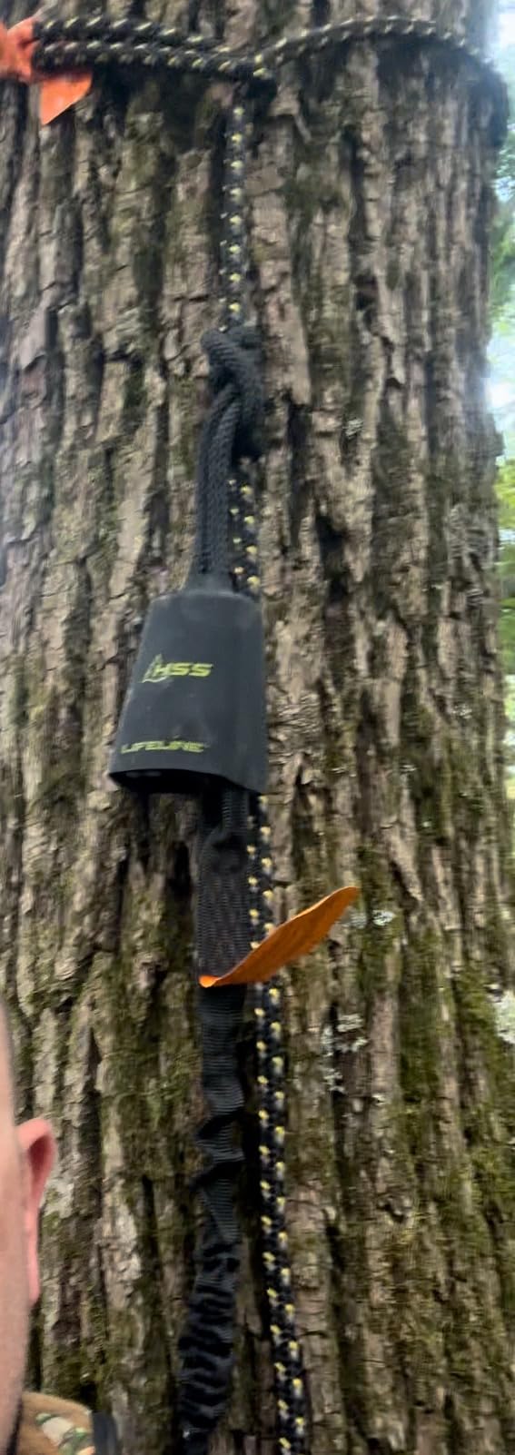 Hunter Safety System Lifeline - Treestand Safety Rope System with Ground-to-Stand Fall Protection & Silent Climbing customer photo 2
