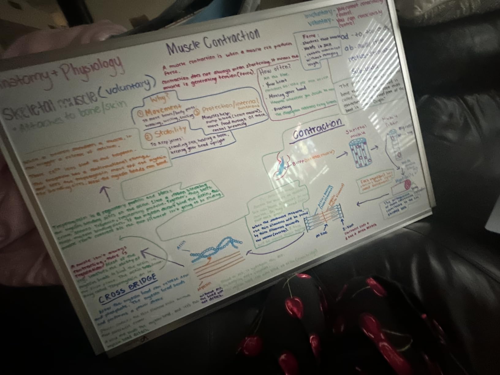 VIZ-PRO Magnetic Dry Erase Board, 36 X 24 Inches, Silver Aluminium Frame customer photo 2