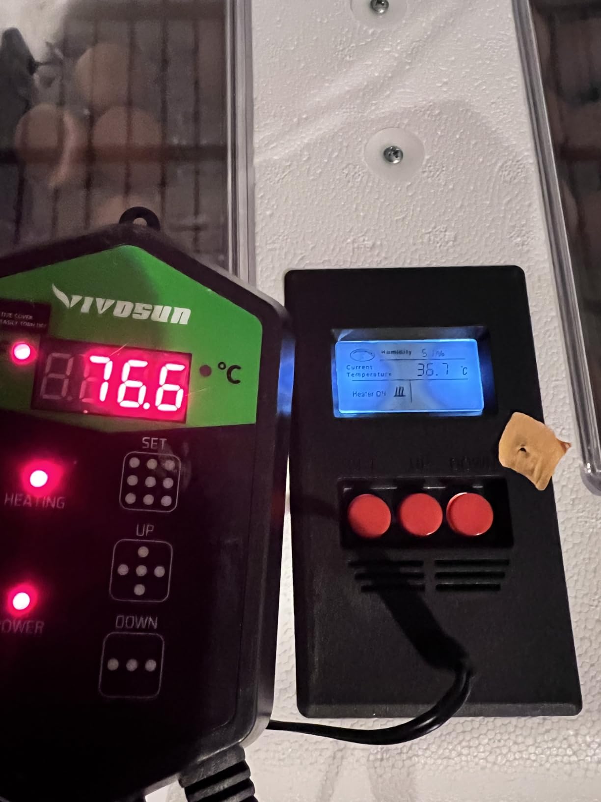 Digital Circulated Air Incubator | 41 Egg Capacity | Chick Egg Hatching Incubator with Circulated Fan, Temperature and Humidity Control | Made in USA customer photo 1