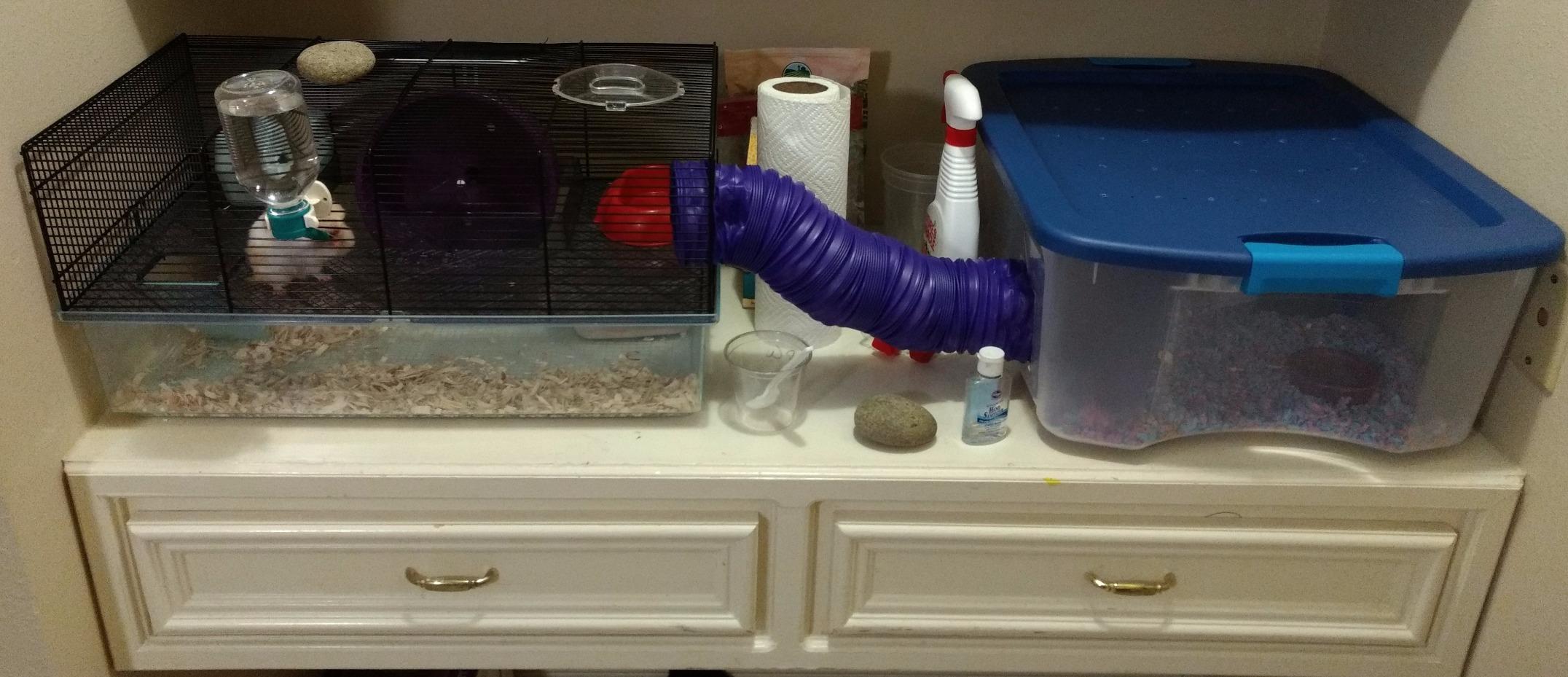 Ferplast Favola Hamster Cage Includes Free Water Bottle, Exercise Wheel, Food Dish & Hamster Hide-Out customer photo 1