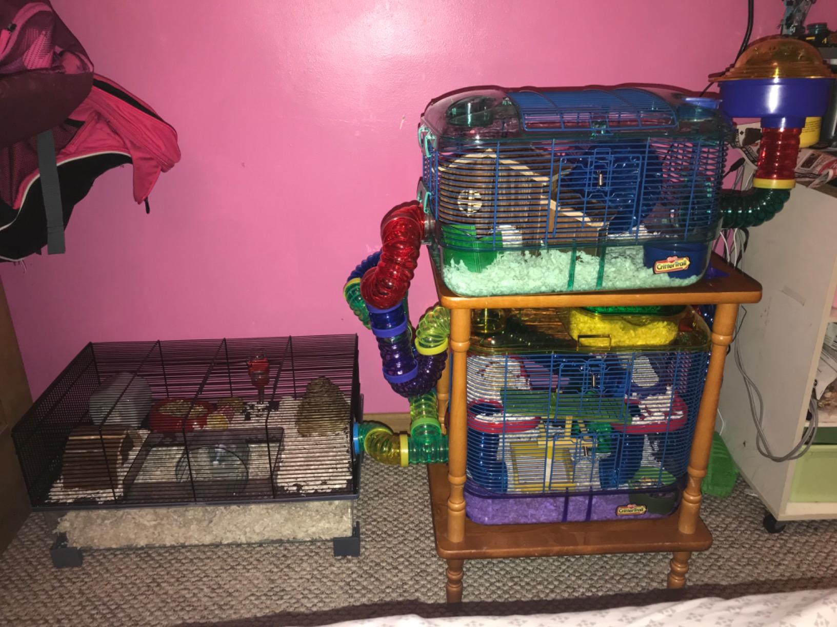 Ferplast Favola Hamster Cage Includes Free Water Bottle, Exercise Wheel, Food Dish & Hamster Hide-Out customer photo 2