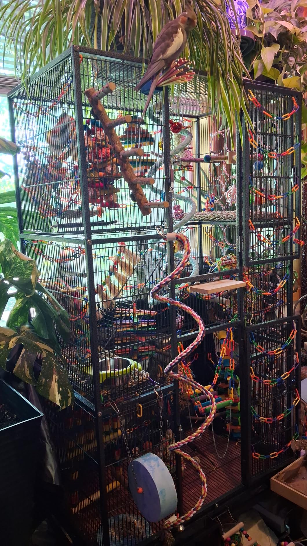Yaheetech 69-Inch Extra Large Bird Cage Metal Parrot Cage for Mid-Sized Parrots Cockatiels Conures Parakeets Lovebirds Budgie Finch, Black customer photo 2