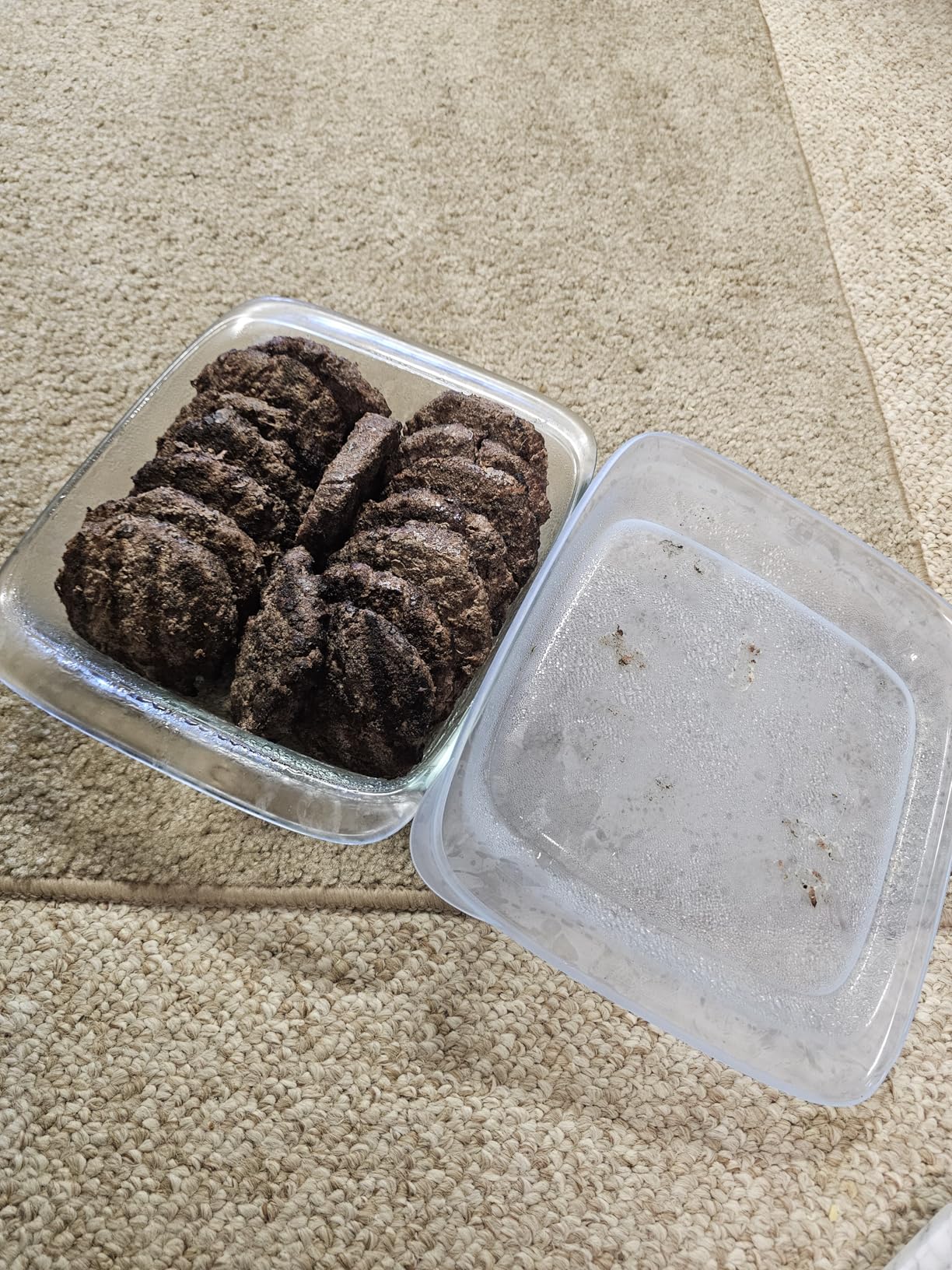 OXO Good Grips Freezer-to-Oven Safe 2 Qt Glass Baking Dish with Lid, 8 x 8 customer photo 2