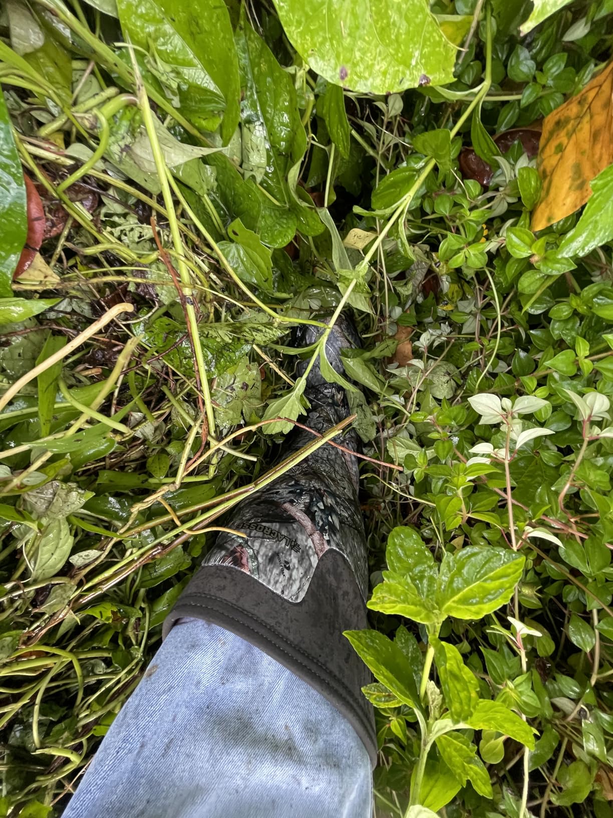 AlphaBurly Aero Mens 17