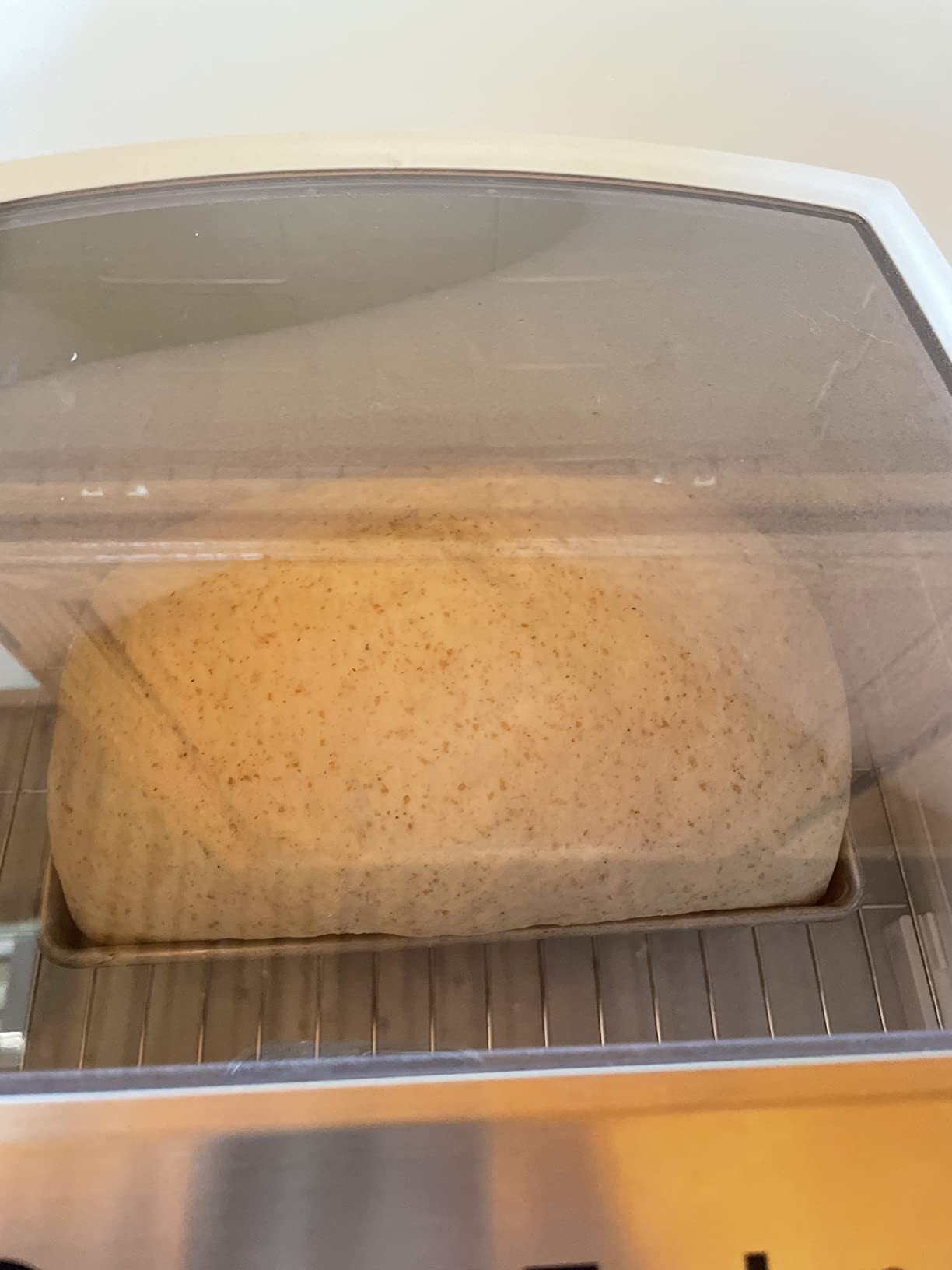 Brod & Taylor Folding Proofer & Slow Cooker customer photo 2