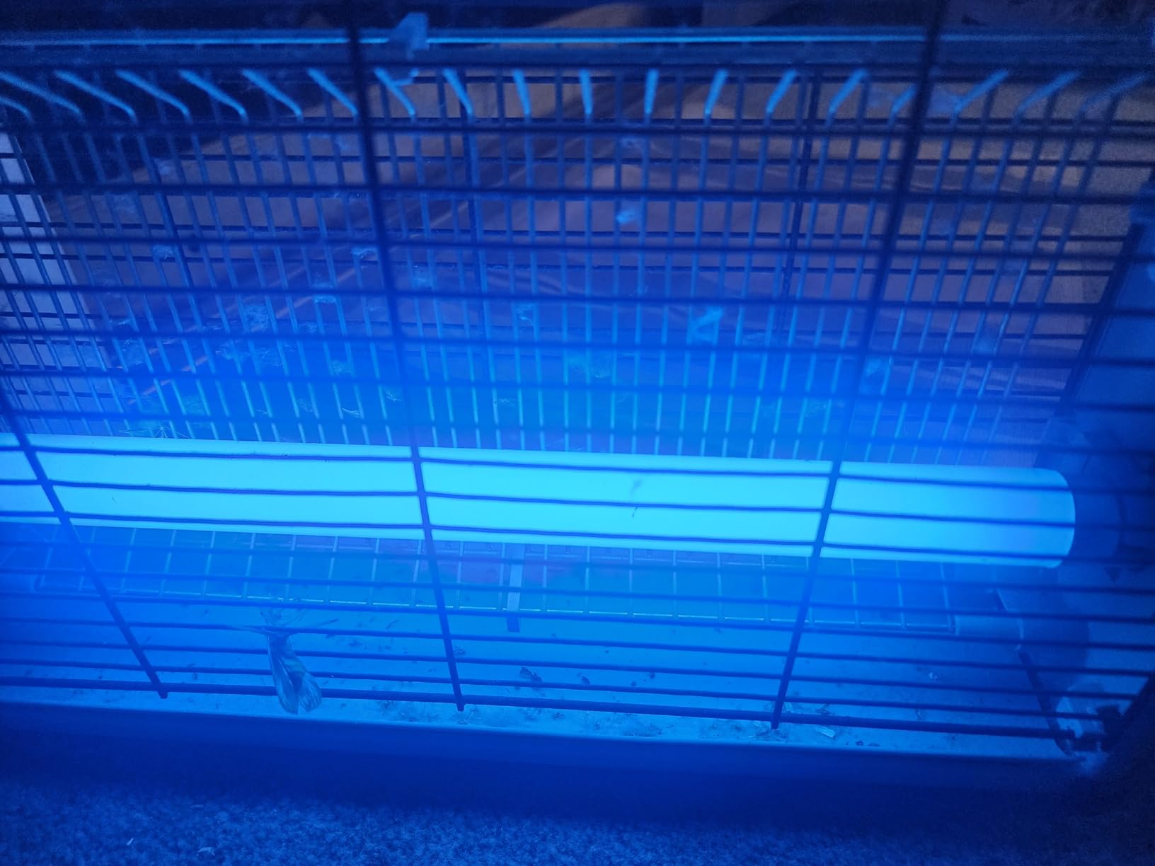 LiBa Bug Zapper 2800V Indoor, with 2 Extra Replacement Bulbs, Indoor Insect Killer customer photo 1