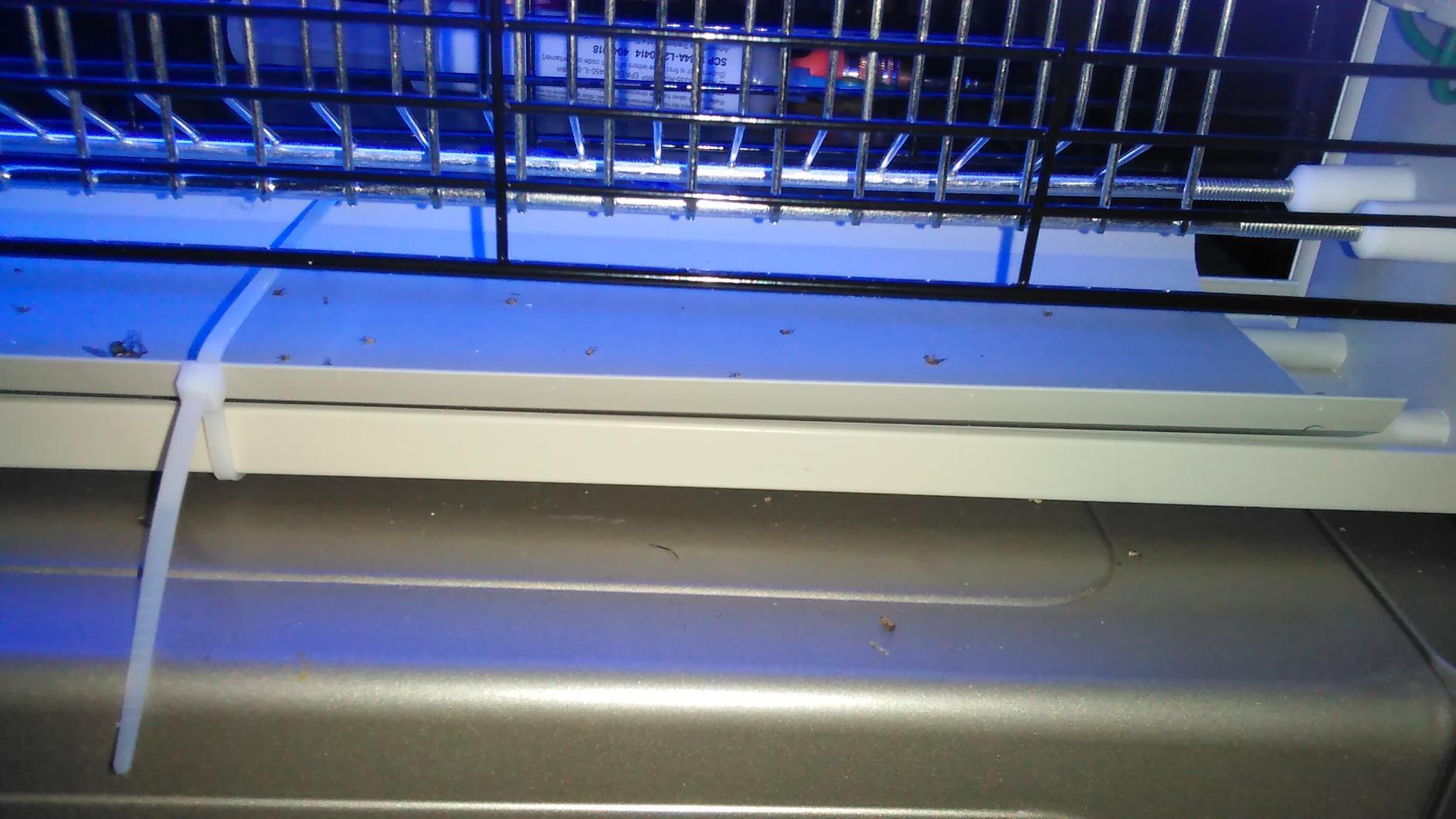 LiBa Bug Zapper 2800V Indoor, with 2 Extra Replacement Bulbs, Indoor Insect Killer customer photo 2