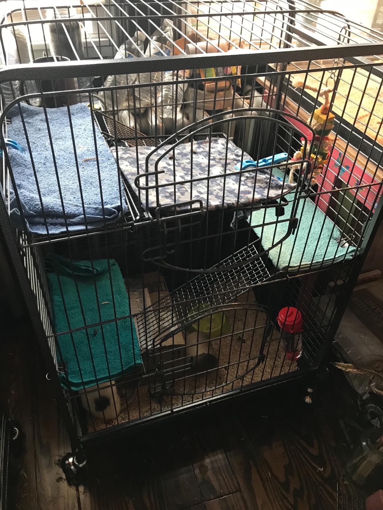 Yaheetech 52-inch Ferret Cage 6 Level Metal Rat Cage with 3 Front Doors/Feeder/Wheels Small Animal Cage for Ferret/Chinchilla/Bunny/Rabbit/Squirrel, Black customer photo 2