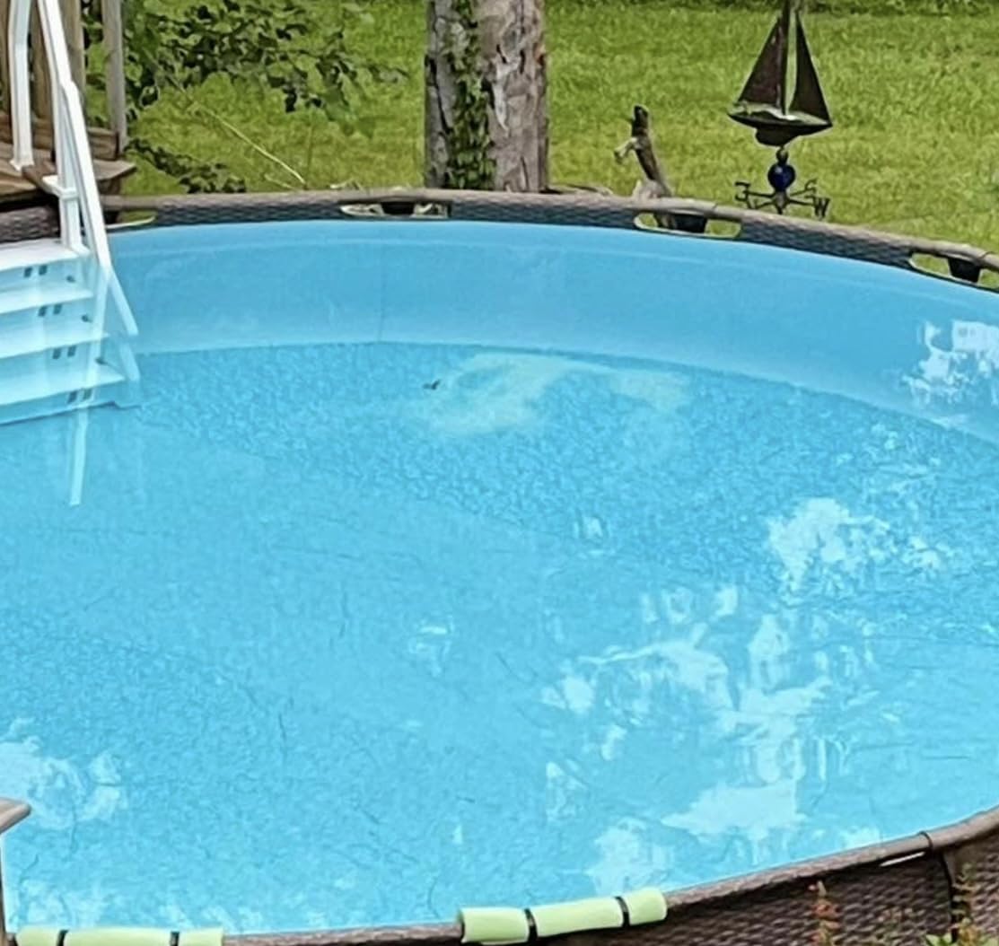 INTEX Krystal Clear QS1200 Saltwater Swimming Pool Chlorine System | 26669EG - For Above Ground Pools up to 15,000 Gal, Pool Cleaner with Automatic Timer and Self Cleaning Mode customer photo 1