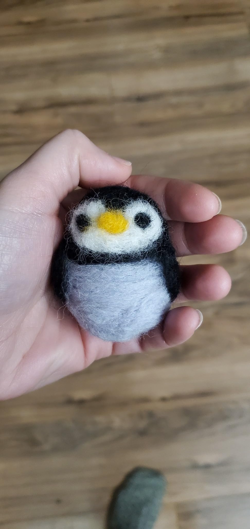 Needle Felting Kit Starter Set, 16 Colors, White Core Wool & Tool | Needle Felting Kit (Owl, Frog, Fox, Shark, Bee and Ladybug, Penguin), Handmade Wool Roving, Felting Needles & Instruction customer photo 2