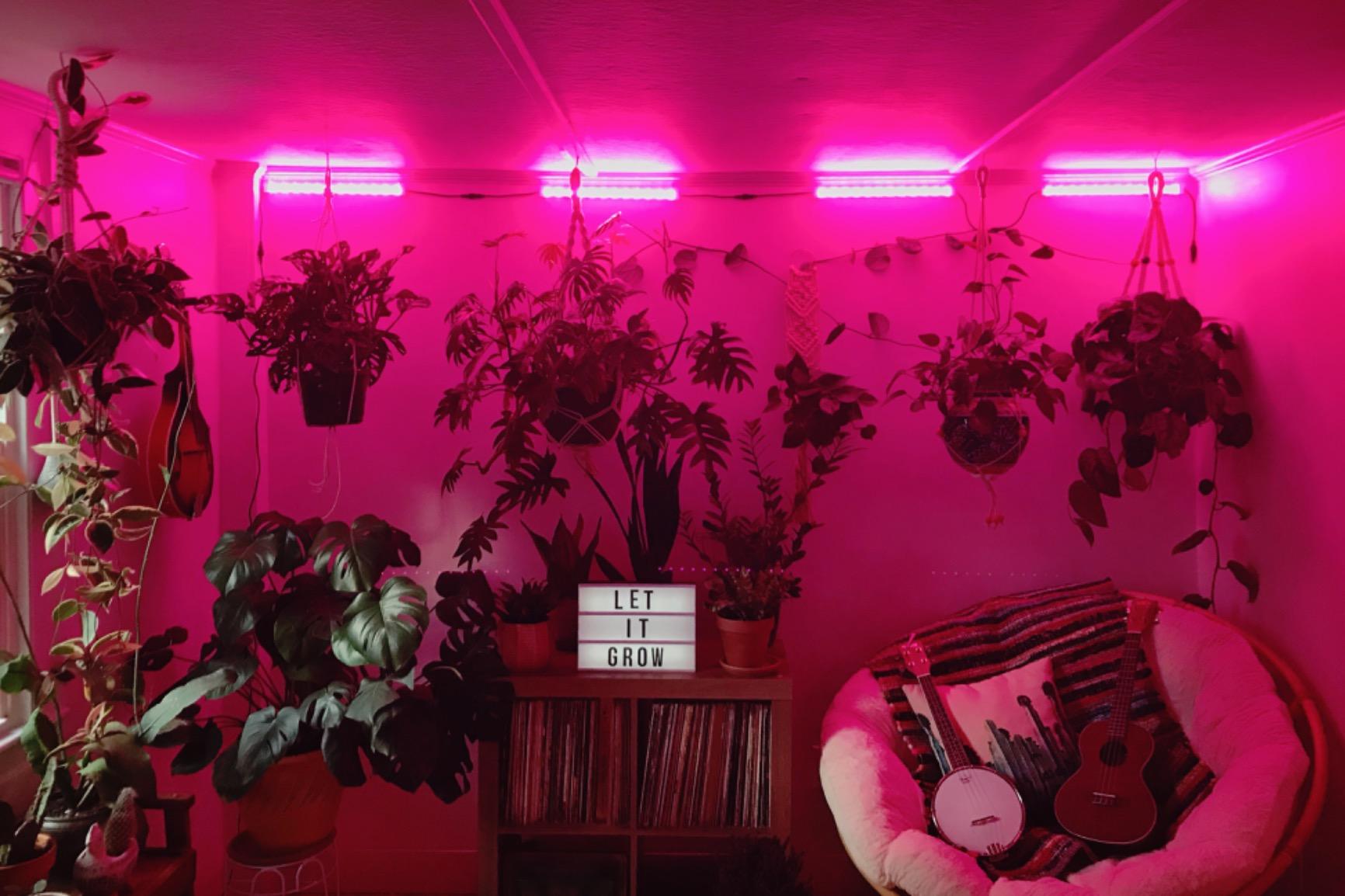 Litever Grow Light Strip Kit 36W with Timer, 4 pcs 16 Inches LED Grow Light Strips with Extension Cables, Mounting Accessories for Greenhouse, Grow Shelf. Perfect for Indoor Growing-(4-Strip-Kit) customer photo 2
