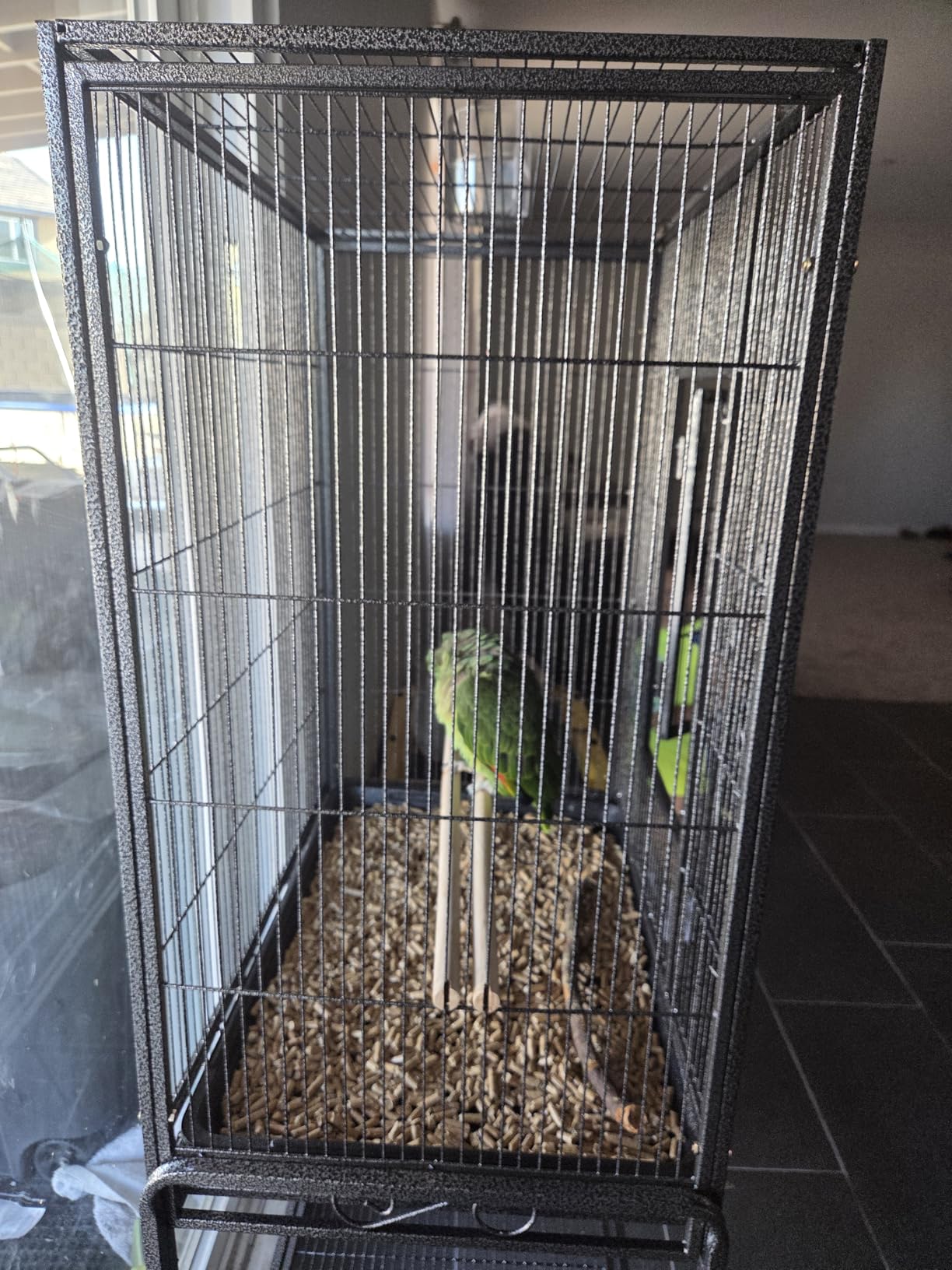 ZENY 53-Inch Bird Flight Cage, Wrought Iron Standing Large with Rolling Stand for Cockatiels Pet Parrot Parakeet Lovebird Canary Finch customer photo 1