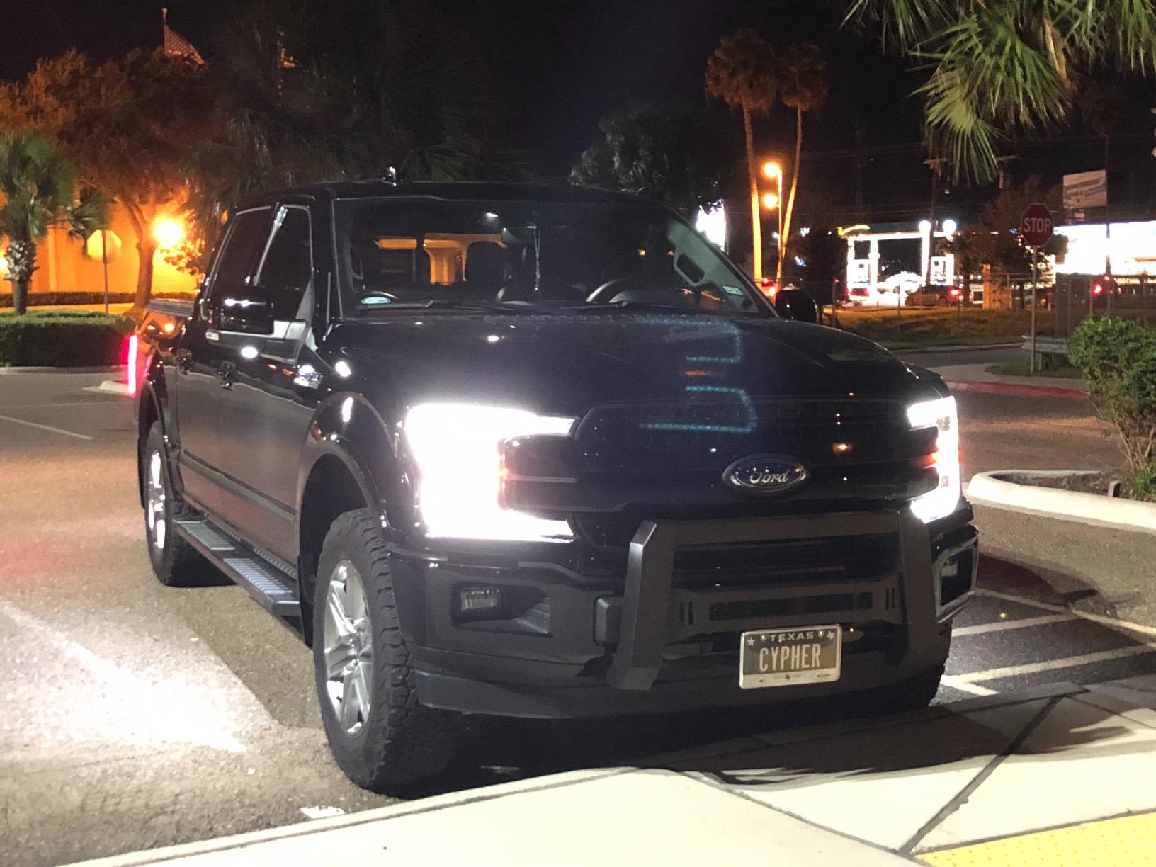TAC Modular Bull Bar Fit 2004-2026 Ford F150 (Exclude Heritage Edition/All F150 Raptor models/2020-2022 Diesel Models)|2022-2026 F150 Lightning EV Front Guard Fine Textured Mesh Version customer photo 1