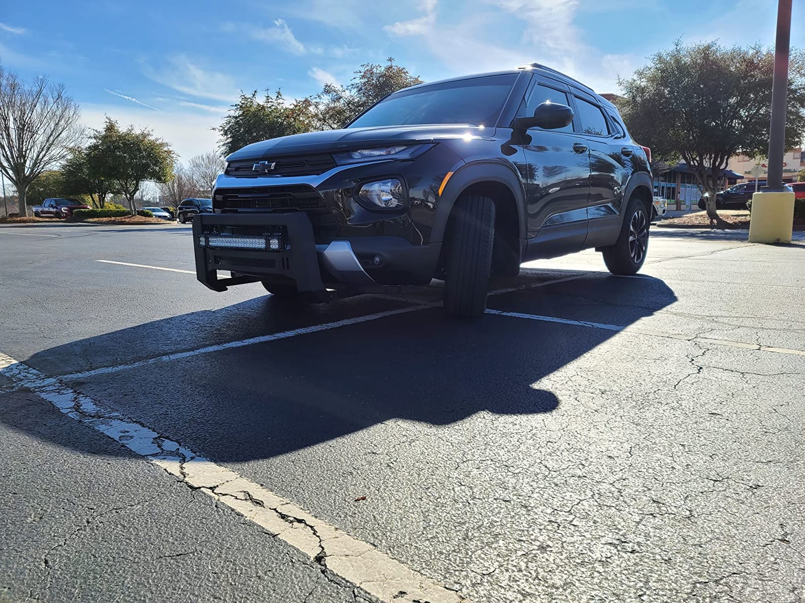 TAC Modular Bull Bar Fit 2004-2026 Ford F150 (Exclude Heritage Edition/All F150 Raptor models/2020-2022 Diesel Models)|2022-2026 F150 Lightning EV Front Guard Fine Textured Mesh Version customer photo 2