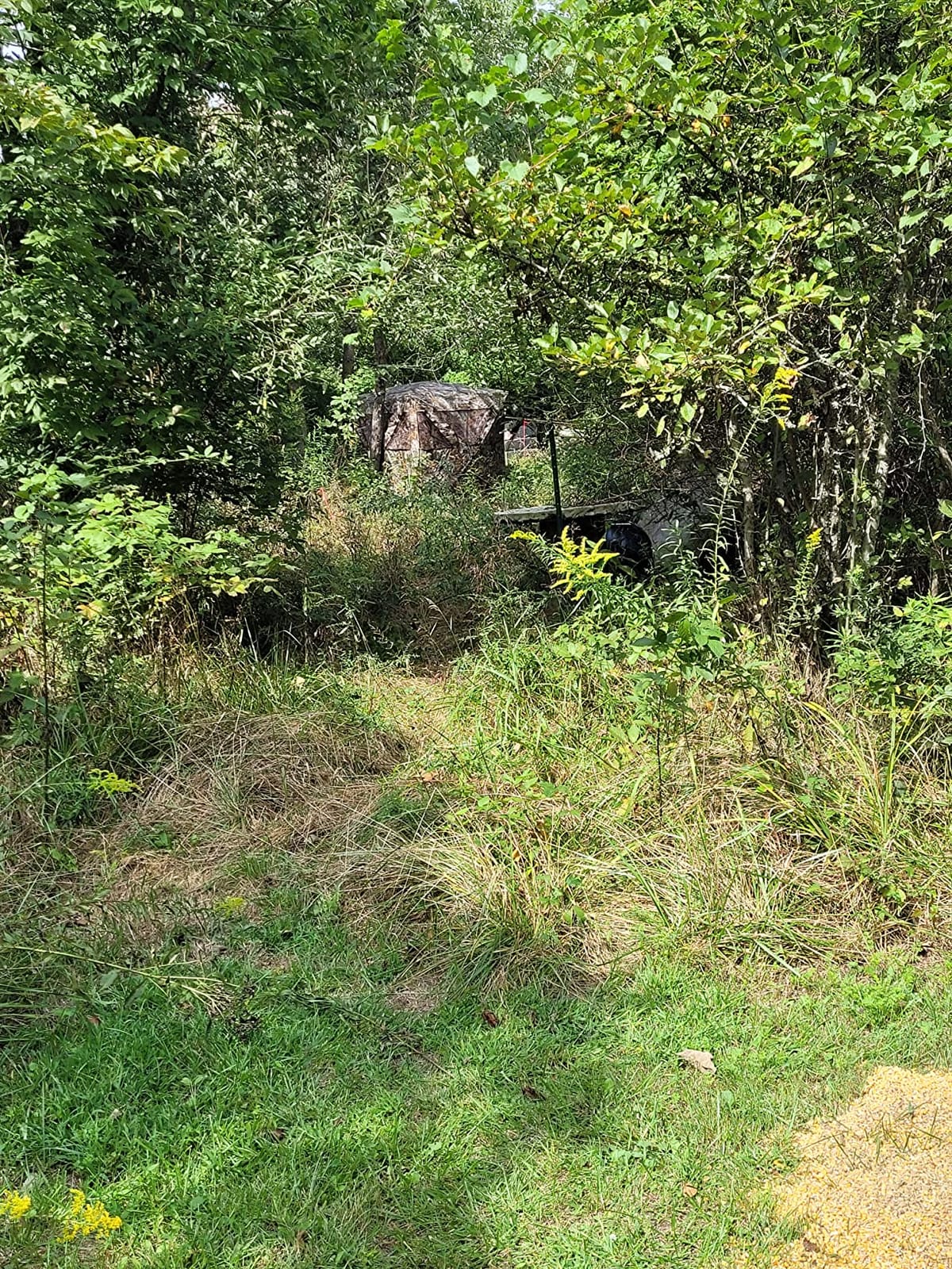 Ameristep Caretaker Hunting Blind customer photo 2