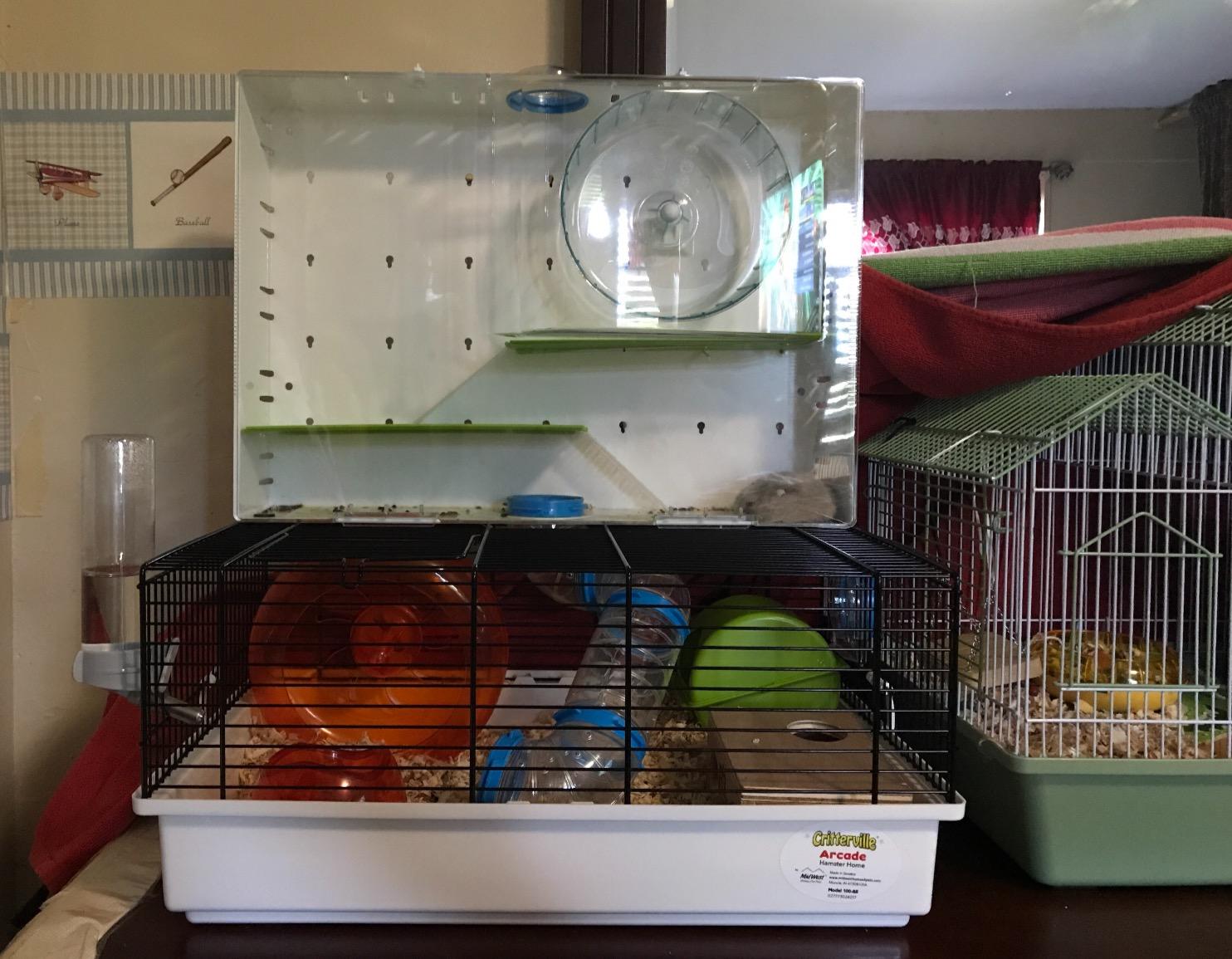 MidWest Homes for Pets Hamster Cage | Awesome Arcade Hamster Home (White) | 18.11 x 11.61 x 21.26 Inch customer photo 2