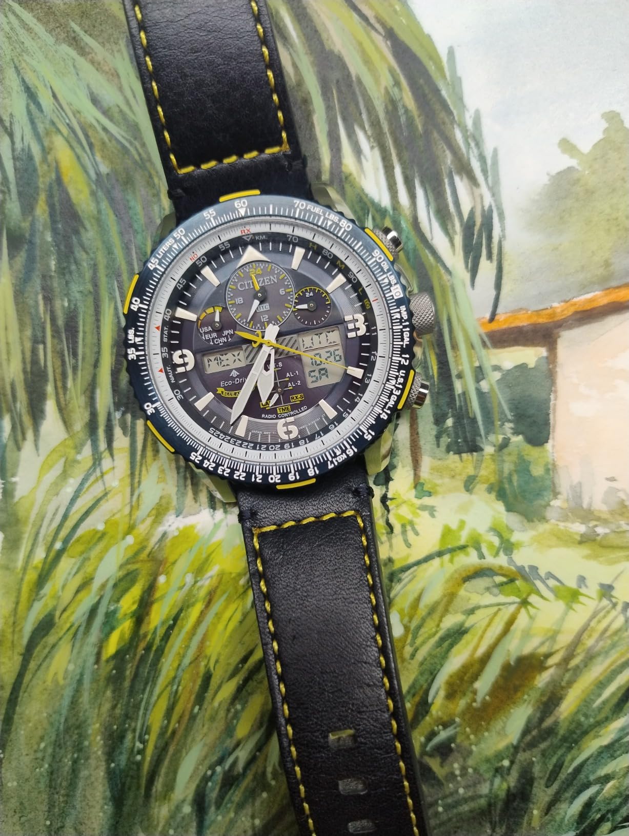 Men's Eco-Drive Promaster Air Skyhawk Atomic Time Keeping Pilot Watch in Stainless Steel with Blue Leather Strap, Blue Dial (Model: JY8078-01L) customer photo 1