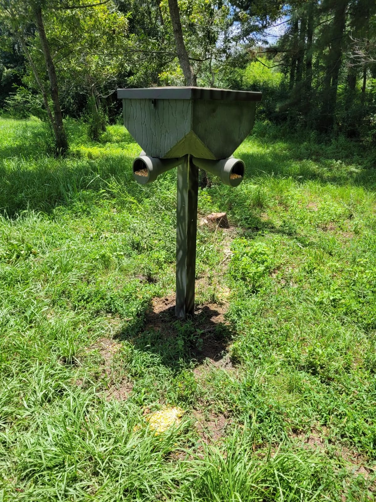 Banks Outdoors Gravity Fed Post Mounted Weatherproof Feed Bank Deer and Game Hunting Feeder with 150 Pound Capacity, Green customer photo 1