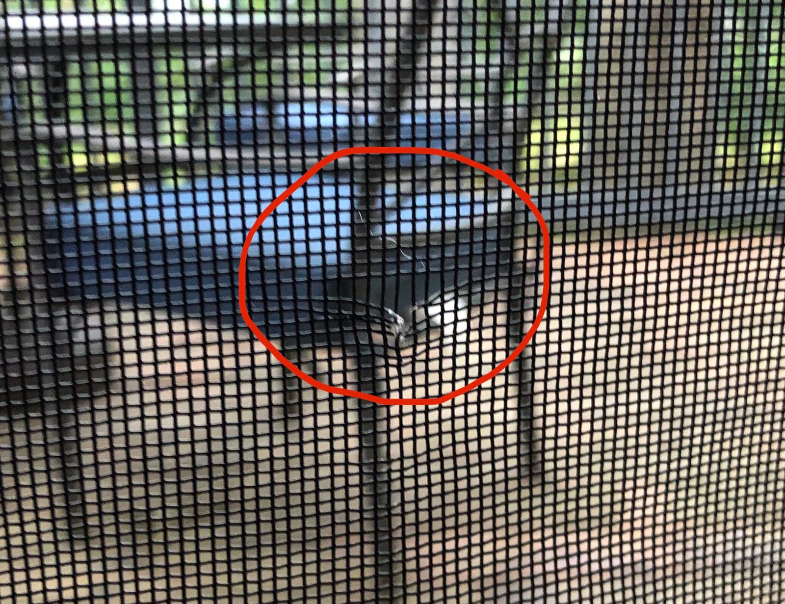 MAGZO Heavy Duty Magnetic Screen Door Thicker 250g/m² Pet Screen Door Mesh | Fit Door Size 36 x 82 Inch, Mesh Size 38