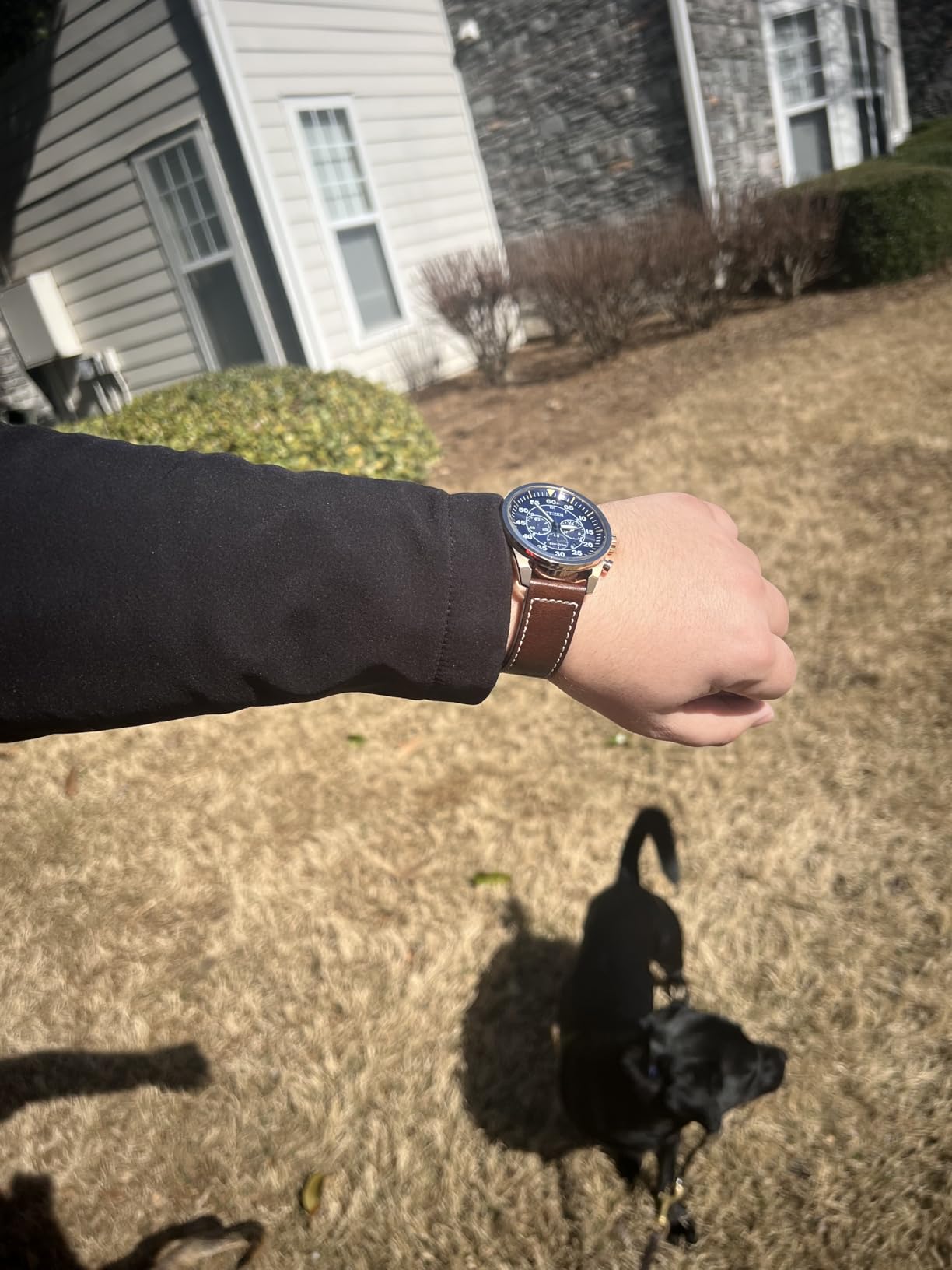 Citizen Men's Eco-Drive Chronograph Sport Casual Watch customer photo 2