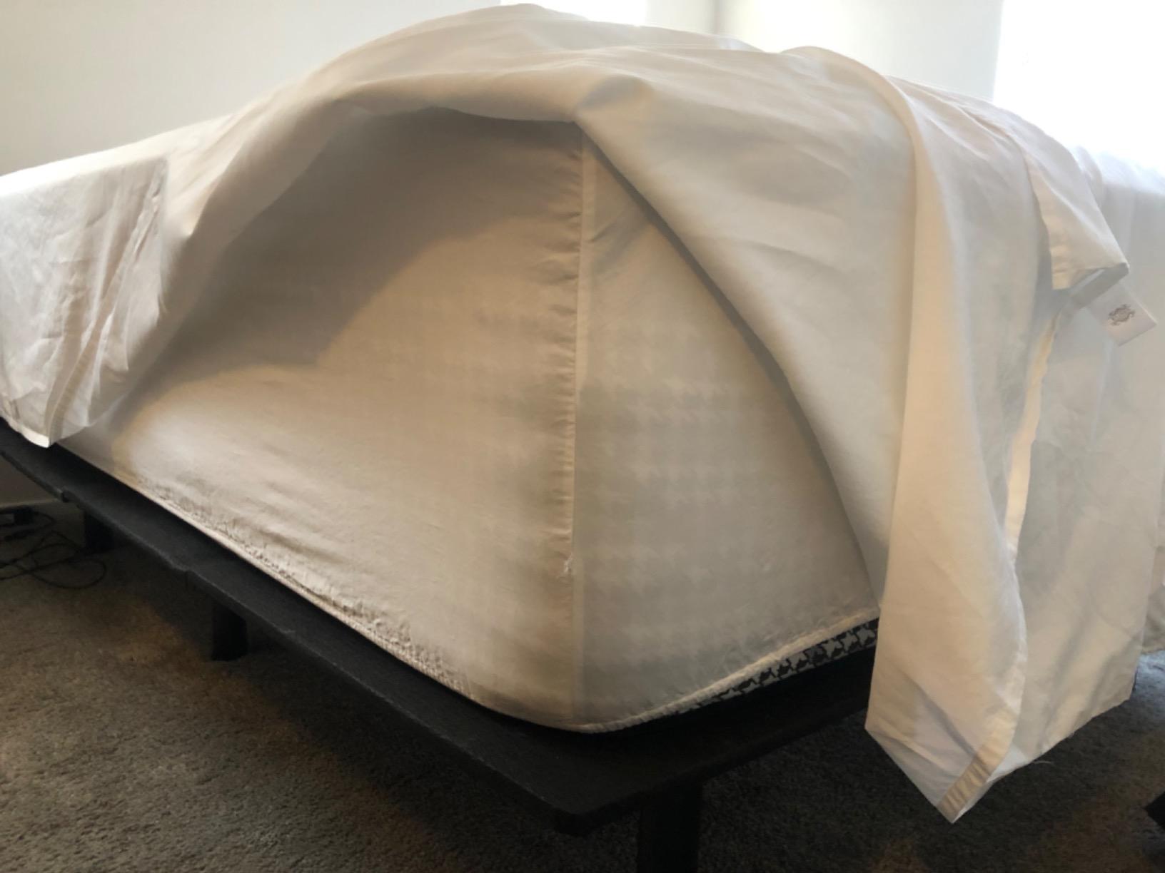 100% Supima Cotton Sheets 600 Thread Count, Sateen Weave, King Size 4-Piece Set customer photo 1