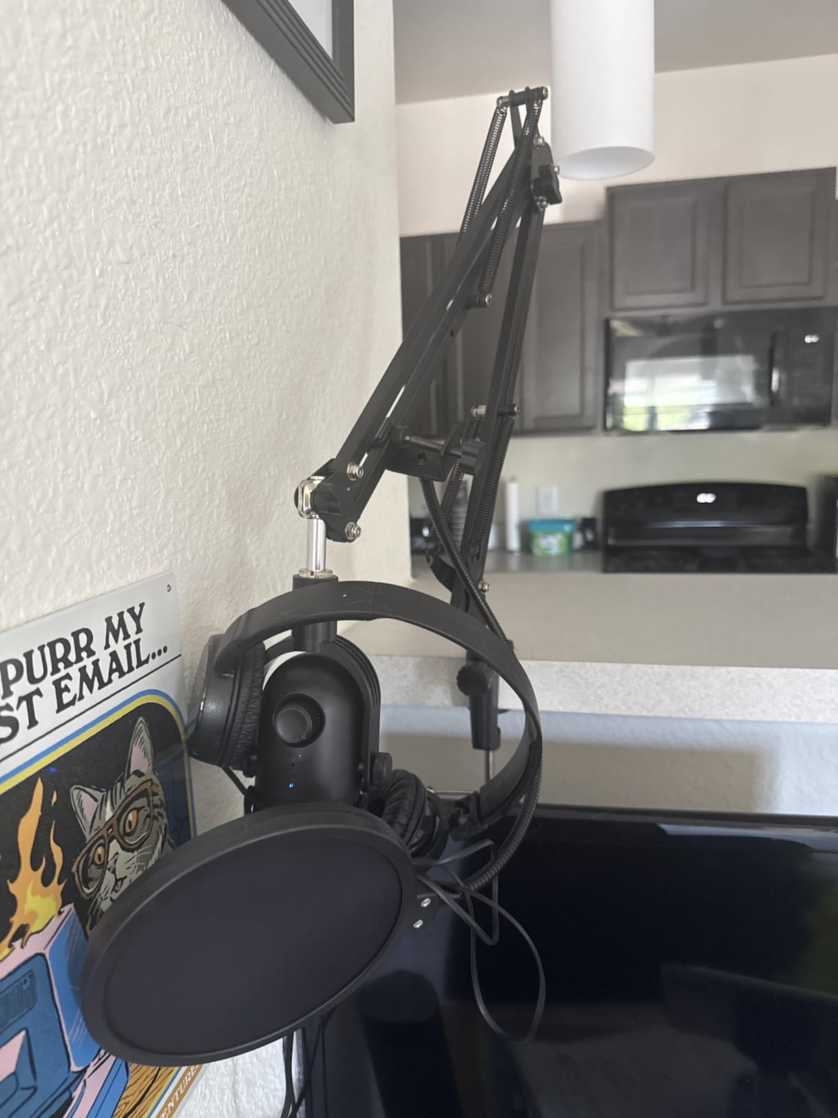 InnoGear Microphone Stand Mic Boom Arm for Blue Yeti HyperX QuadCast S SoloCast Snowball Fifine K669B with Shock Mount Windscreen Pop Filter Mic Clip Holder Cable Ties, Medium customer photo 1