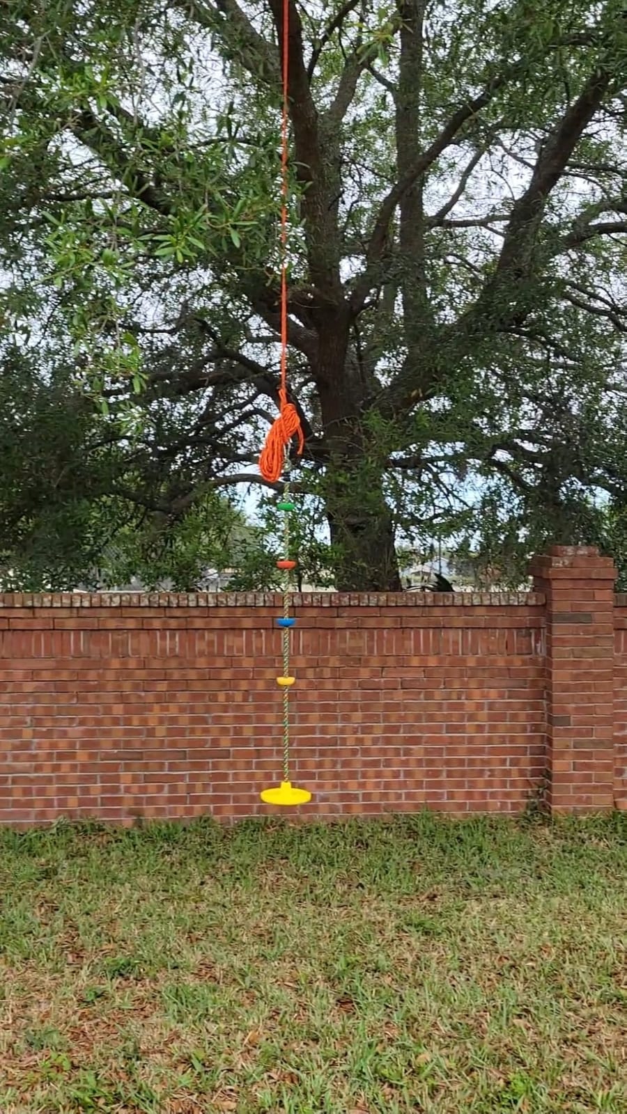 Jungle Gym Kingdom Tree Swing for Kids - Single Disc Seat and Rainbow Climbing Rope Set w/Carabiner and 4 Foot Strap - Treehouse and Outdoor Playground Accessories - Red customer photo 2