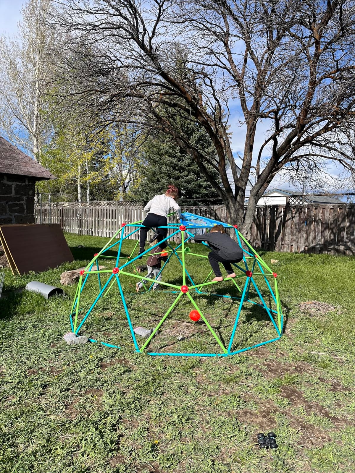 Zupapa 10FT Climbing Dome, Outdoor Jungle Gym for Kids with Climbing Grip - Geometric Dome Climber Outdoor Playset and Easy Assembly Outdoor Play Equipment for Kids (Blue, 10FT) customer photo 2