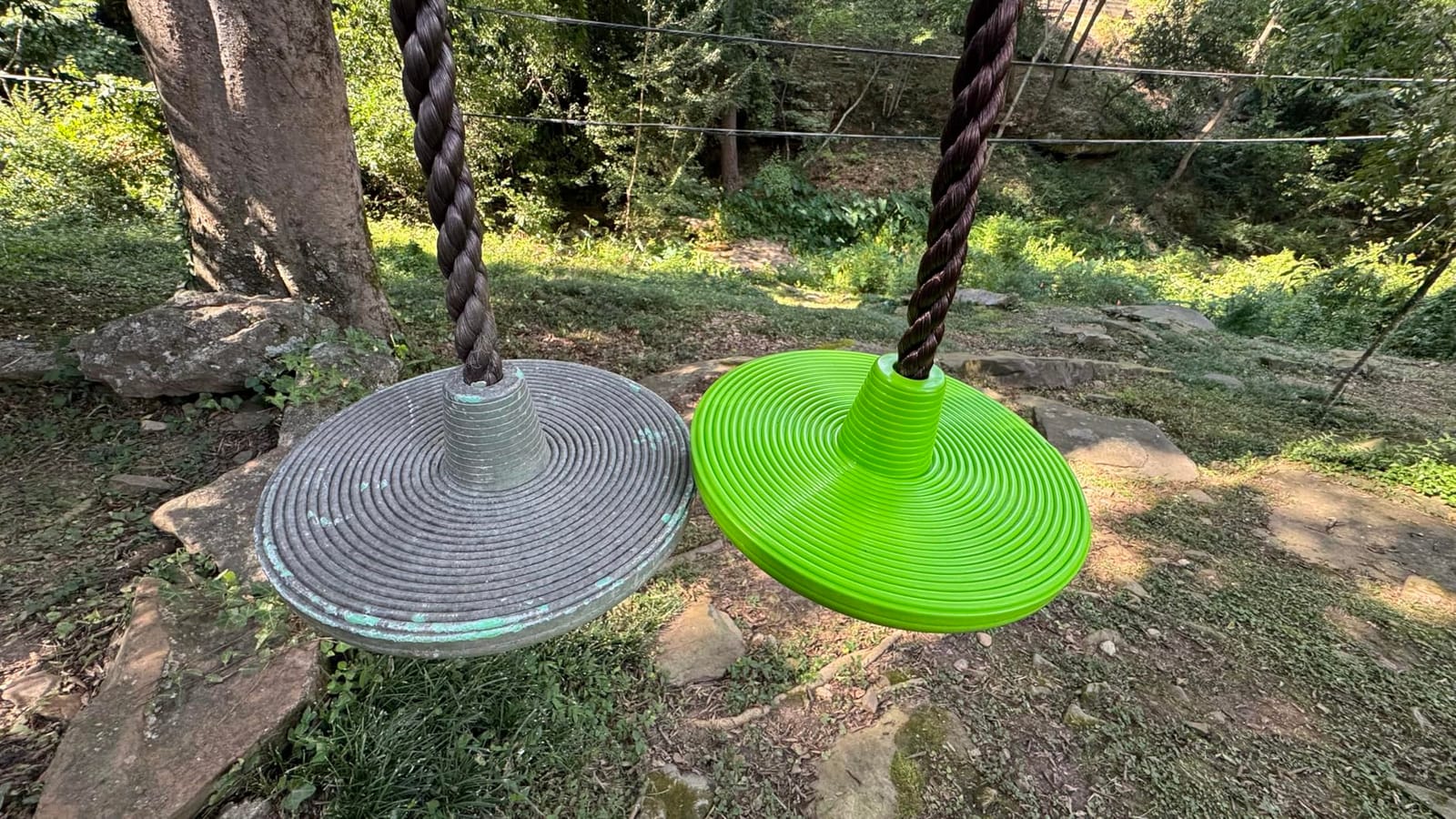 Swurfer Disco Tree Swing - Swing Sets for Backyard, Outdoor Swing, Swingset Outdoor for Kids, Easy Installation, Heavy Duty, Adjustable Climbing Rope, Weather Resistant customer photo 2
