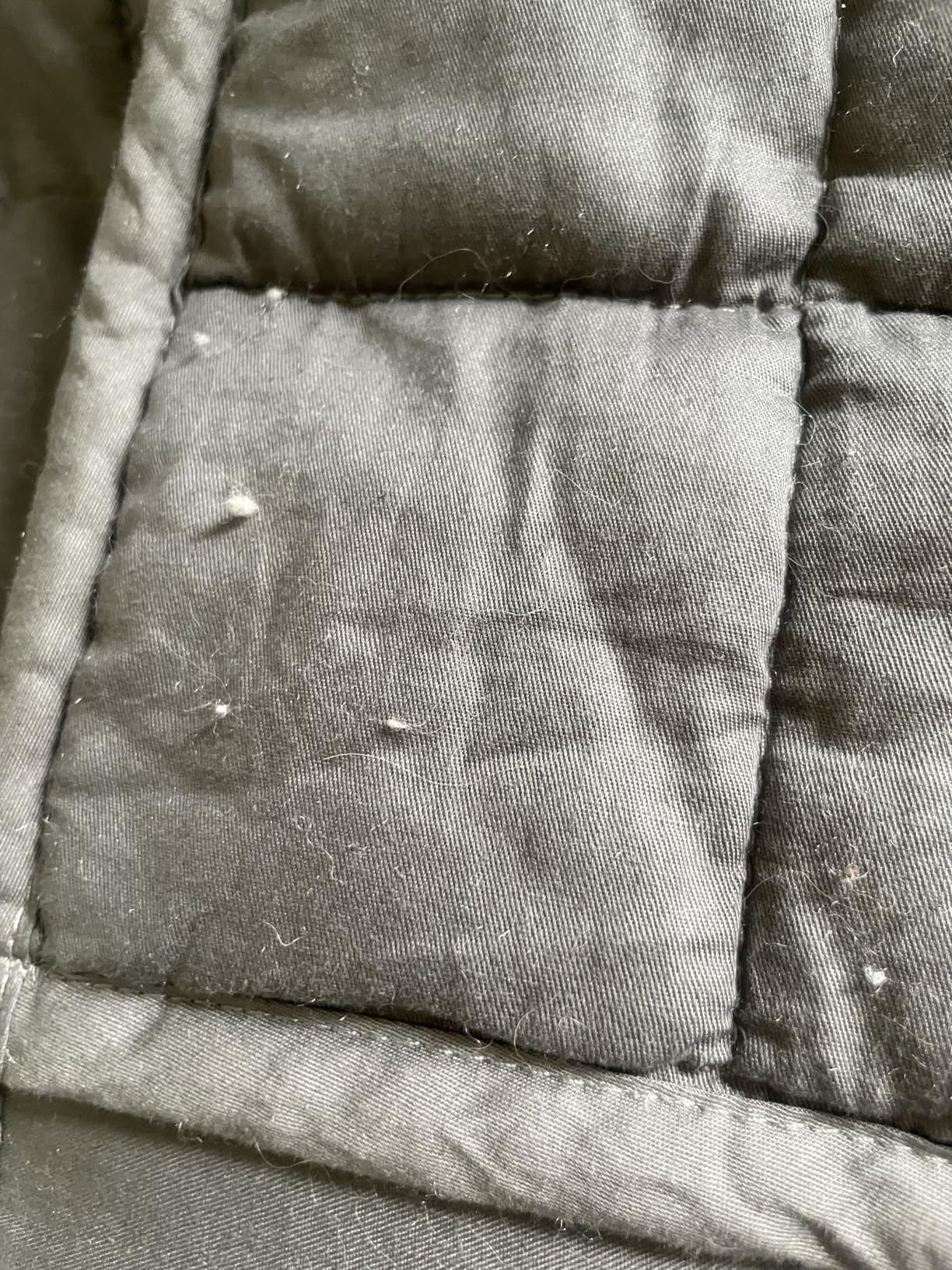 Bare Home Cotton Weighted Blanket (Light Grey, 48