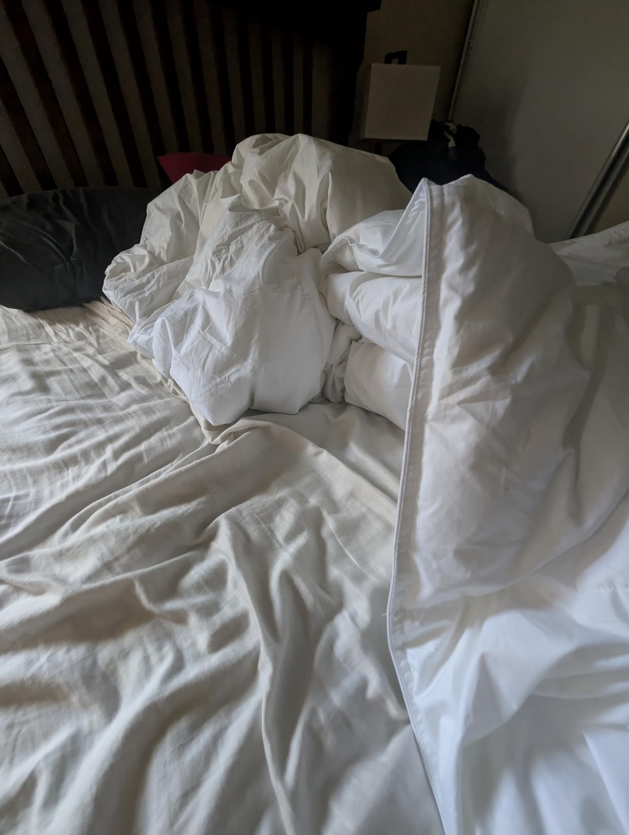 Serta Goose Feather Down Fiber Comforter Queen Size - 100% Cotton Cover Duvet Insert - Hotel Luxury Hypoallergenic Bedding Comforter Extra Warmth 90 x 90 Inch White customer photo 1