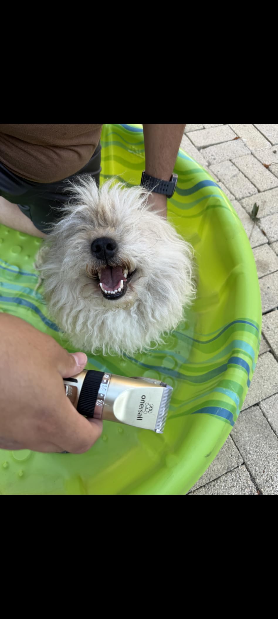 oneisall Dog Grooming Clippers with LED Display for Dogs & Cats | Low Noise Quiet, 2-Speed, Cordless Rechargeable, Fast Charge, Detachable, Waterproof, Battery Level Display, Model X2, Gold customer photo 1