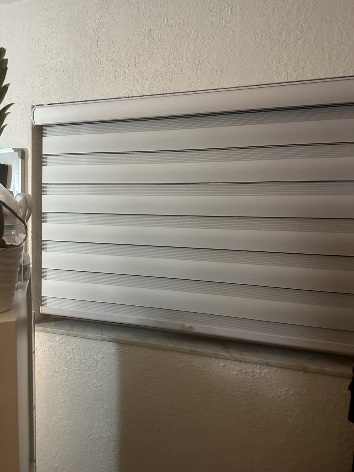 CHICOLOGY Zebra Blinds Cordless, Light Filtering, White Shade, 34W x 72H | Dual Layer Zebra Shade, Light Filtering for Windows, Cordless Child Safe, Inside Outside Mount, Bedroom Living Room customer photo 1