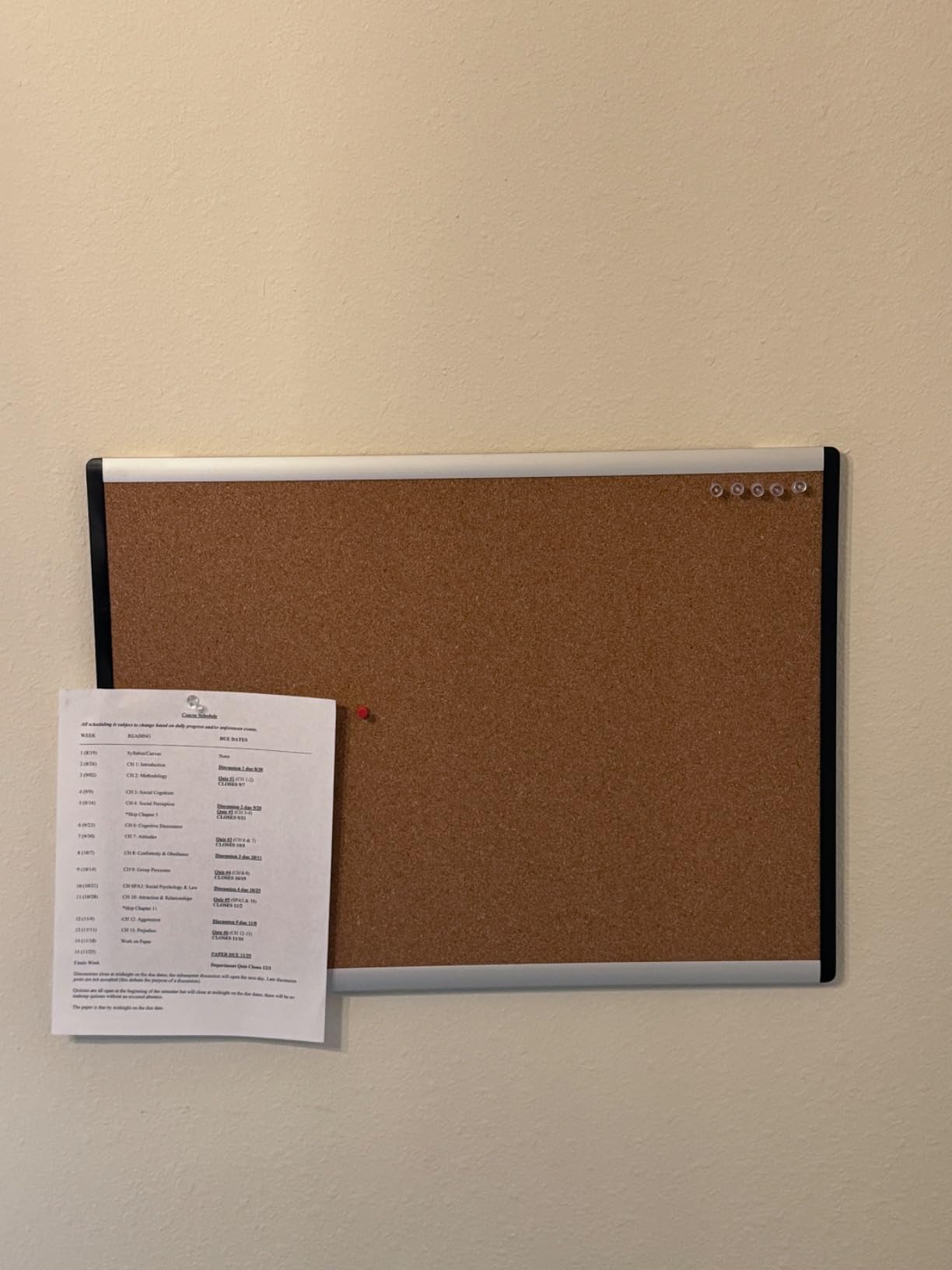 Amazon Basics Cork Bulletin Board, 17