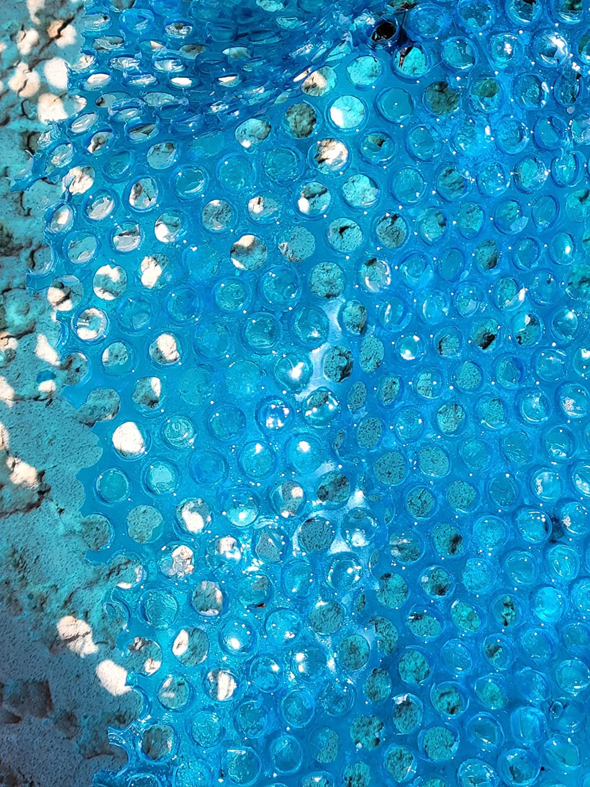 Doheny's Clear-Tek Micro Bubble Solar Pool Cover for Above Ground Swimming Pools | Increase Solar Energy Absorption, Retain Heat, Reduce Evaporation, Reduce Heat Loss & Save, 24 ft Round Blue 1600 customer photo 2
