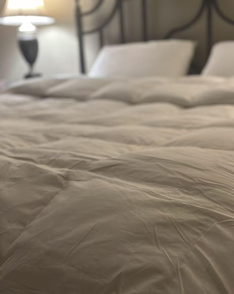 Globon Goose Down Comforter King Size, 800 Fill Power, All Season, White | Luxury Goose Down Duvet Insert, Medium Weight, Ultra Soft 420 Thread Count Noiseless Shell, 8 Corner Tabs, 106x90 inches customer photo 2