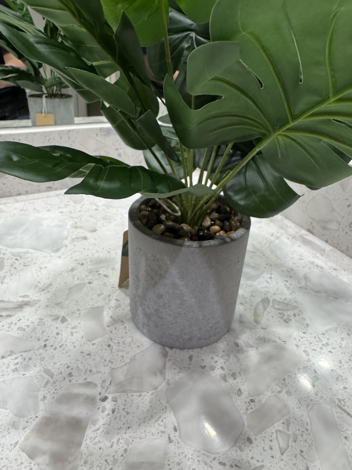 Der Rose 2 Pack Fake Plants Artificial Tropical Faux Plants Indoor for Office Desk Home Sage Green Decor customer photo 1