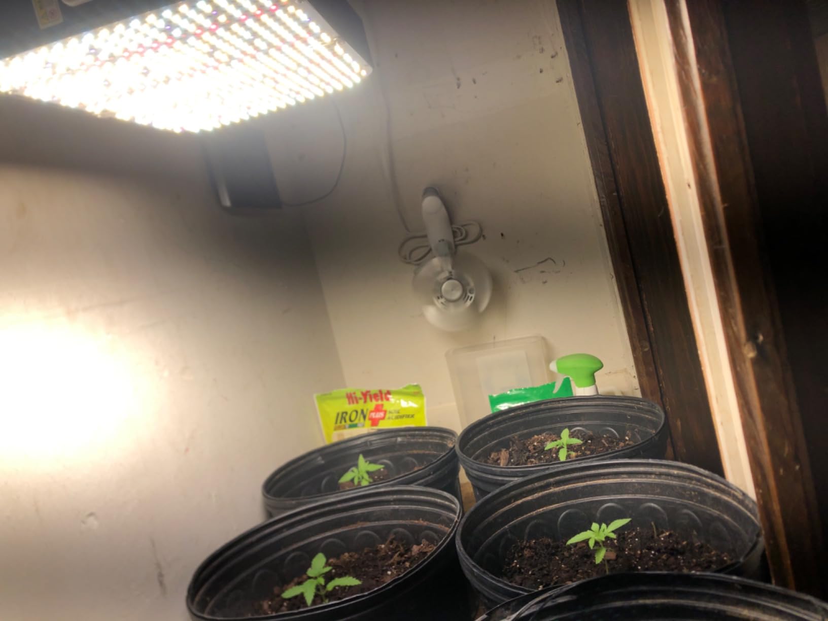 FECiDA 1300W Equivalent LED Grow Light, 130 Watt Power Draw, 0-100 Dimmable | Full Spectrum Grow Lights for Indoor Plants, 2x2 Grow Tent Light for All Growth Stages, Daisy Chain, Quiet Cooling Fan customer photo 2