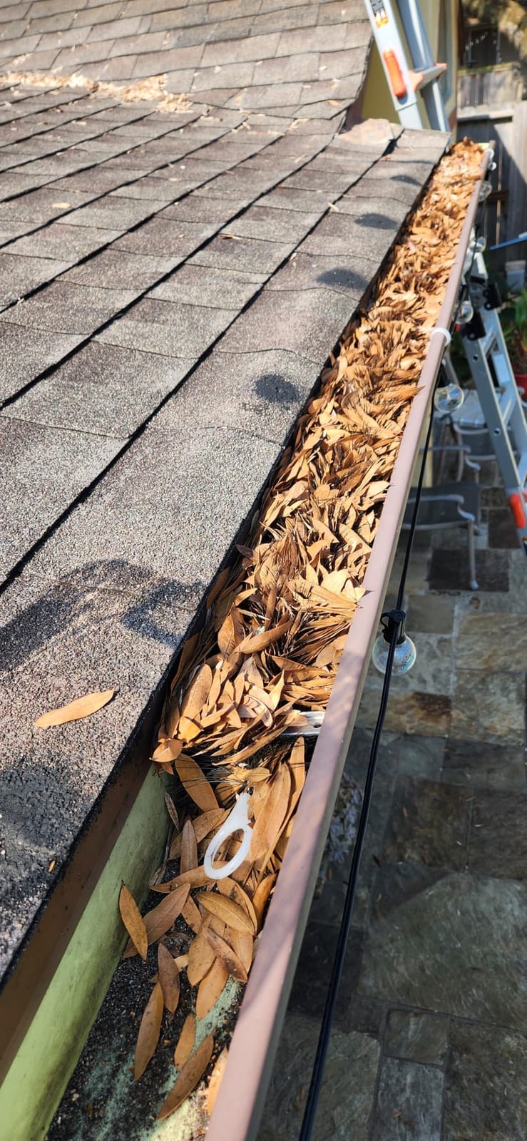Gutter Brush Leaf Guard for 5 Inch Gutters 32ft 4.33