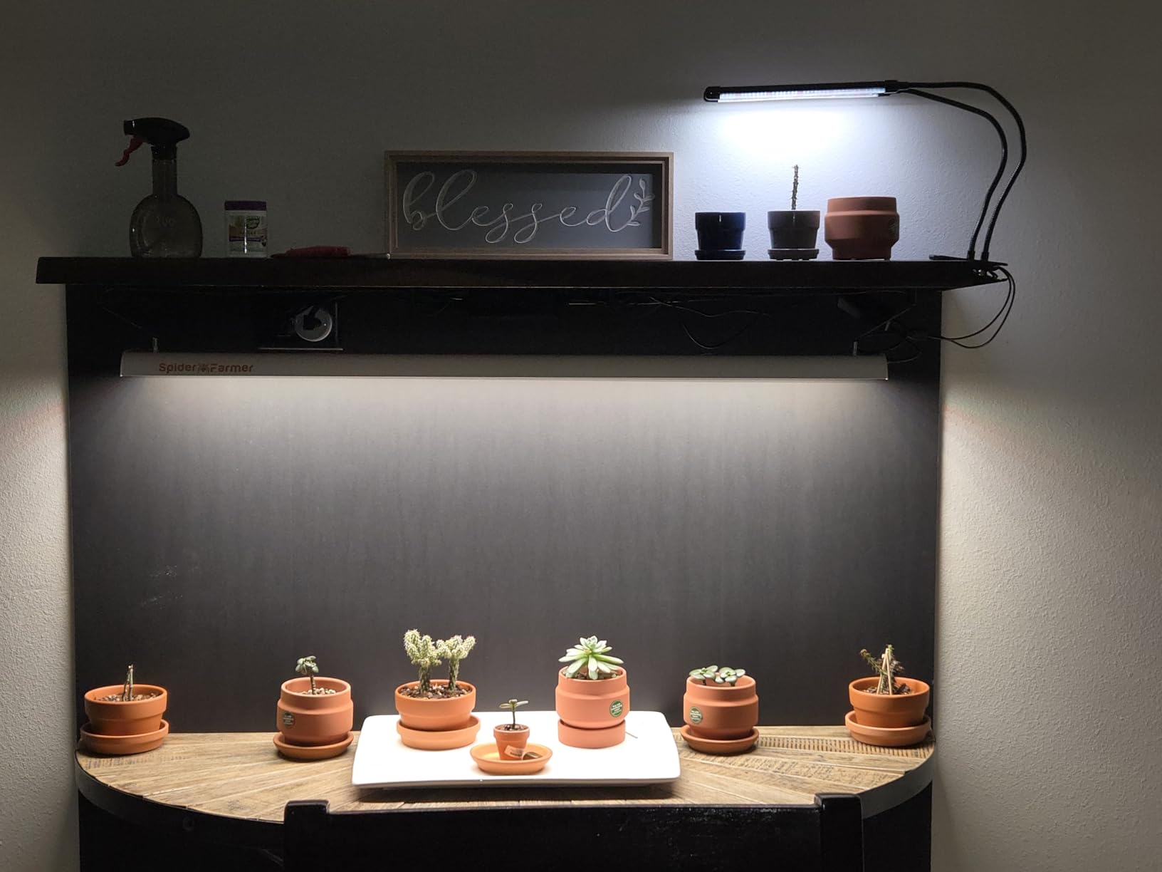 Spider Farmer SF600 LED Grow Light, 72 Watt Plant Growing Lamp for 2x4 ft | Sunlike Full Spectrum LED Grow Lights for Indoor Plants, 11,000 Lumens High Efficiency Lamp for Seeding, Veg & Flower customer photo 2